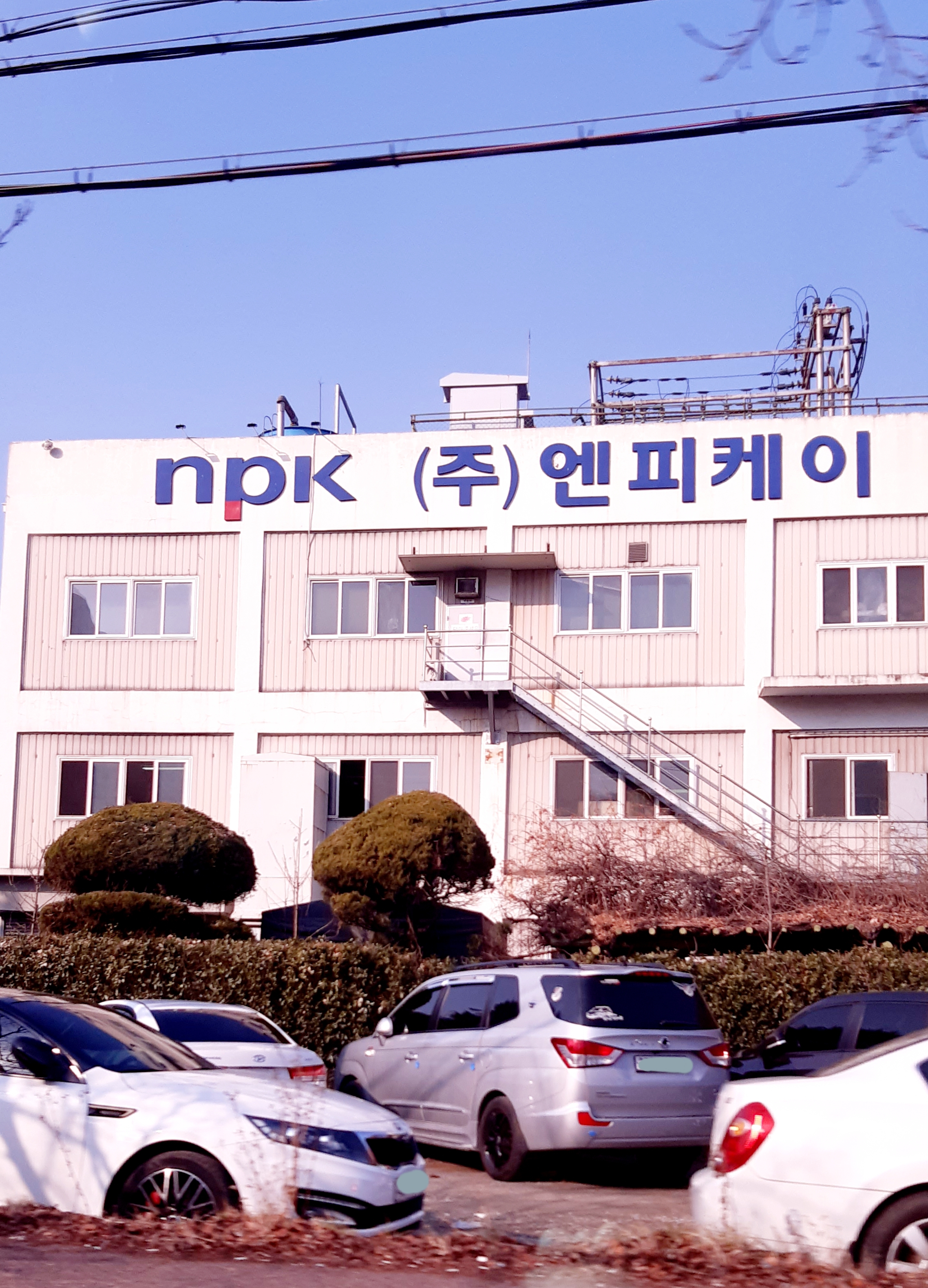 엔피케이