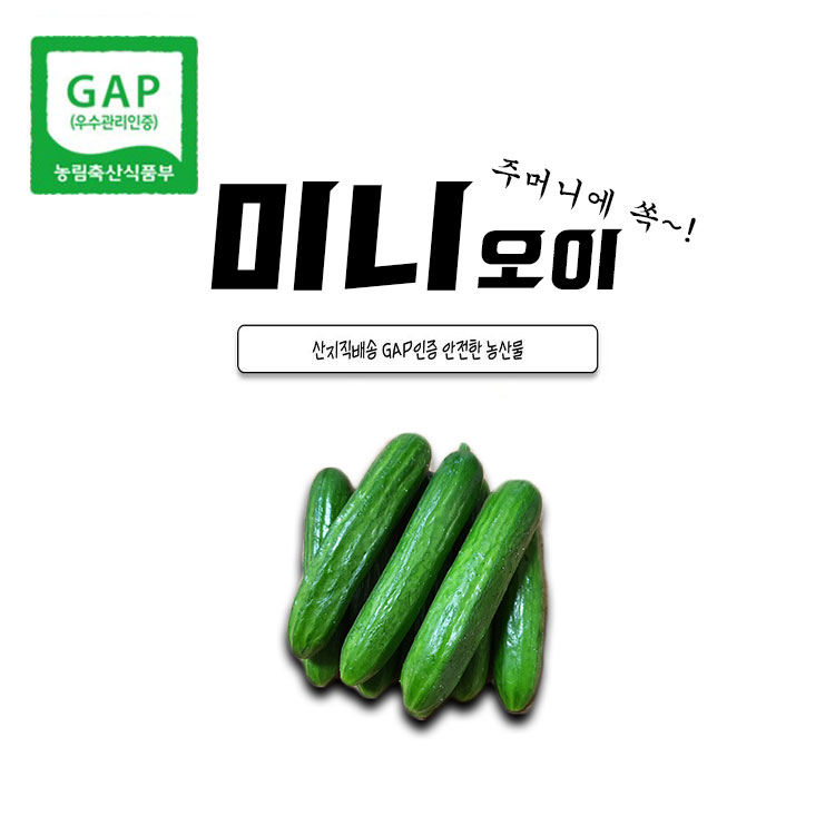 늘푸른사람들