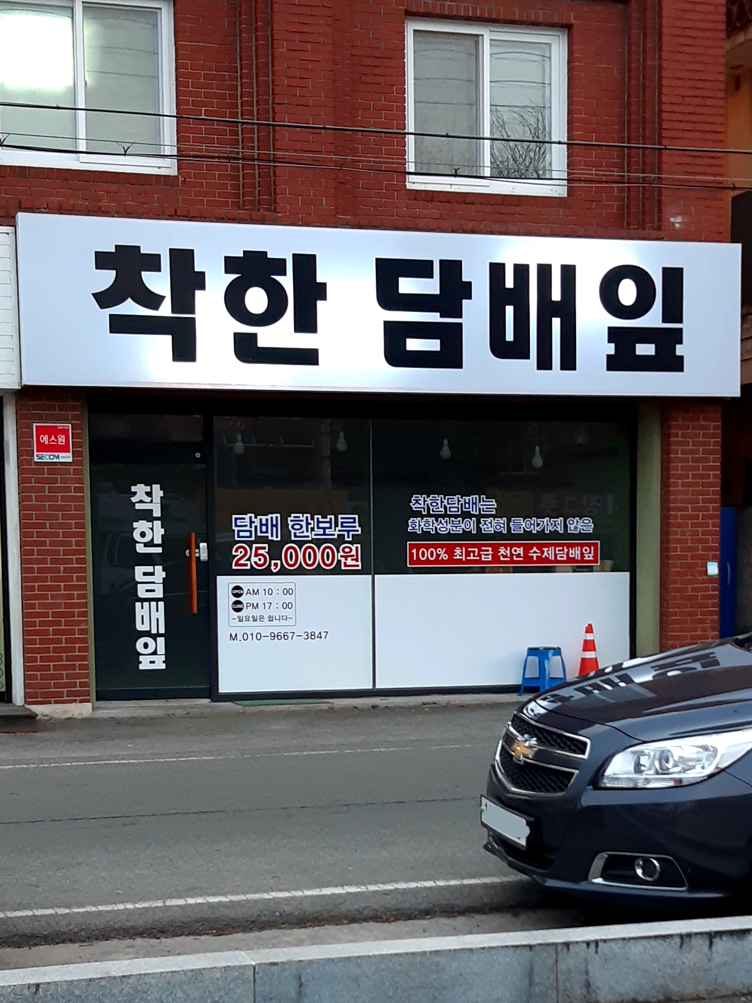 착한담배잎