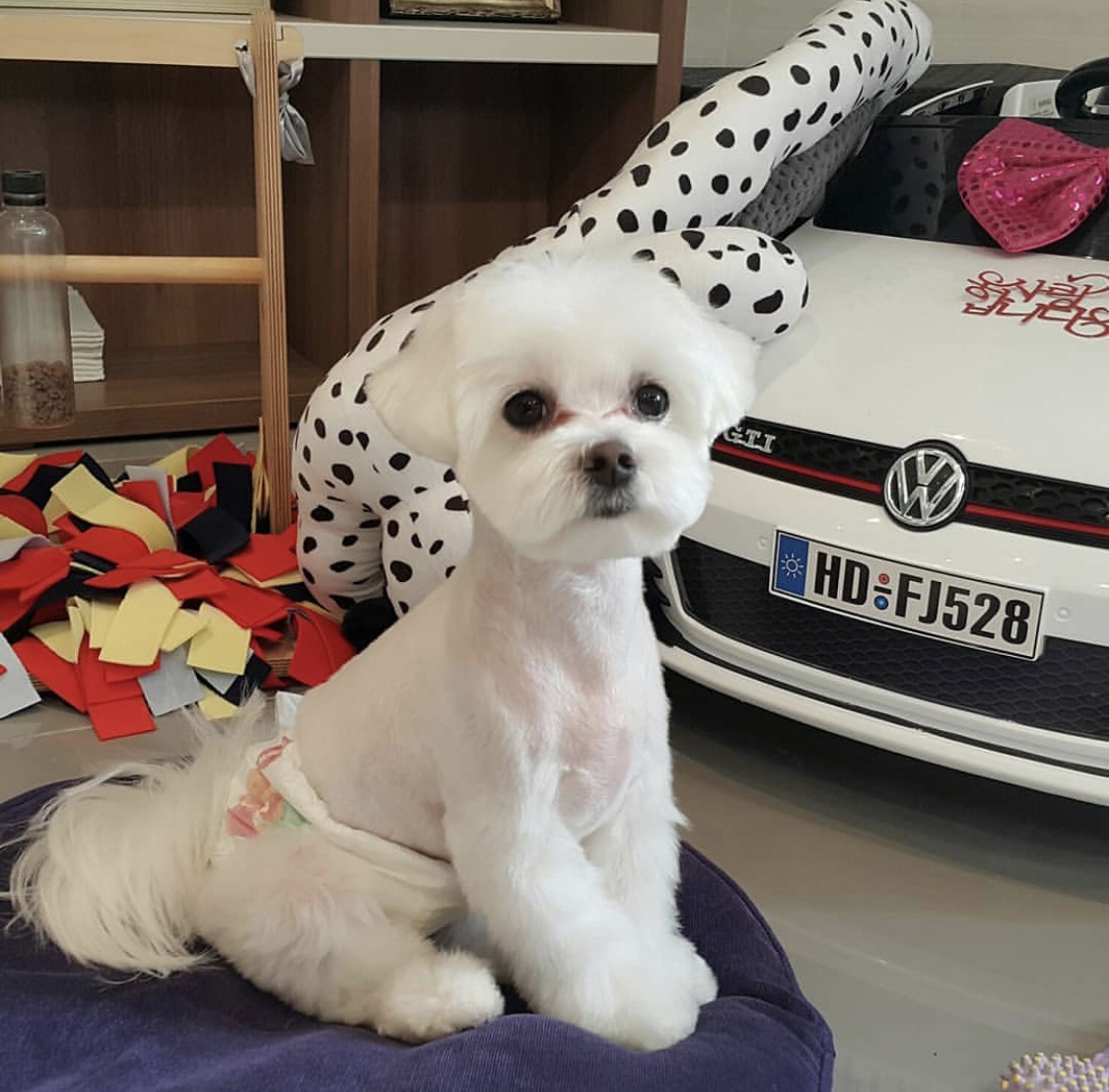 나니쌀롱 대표 이미지