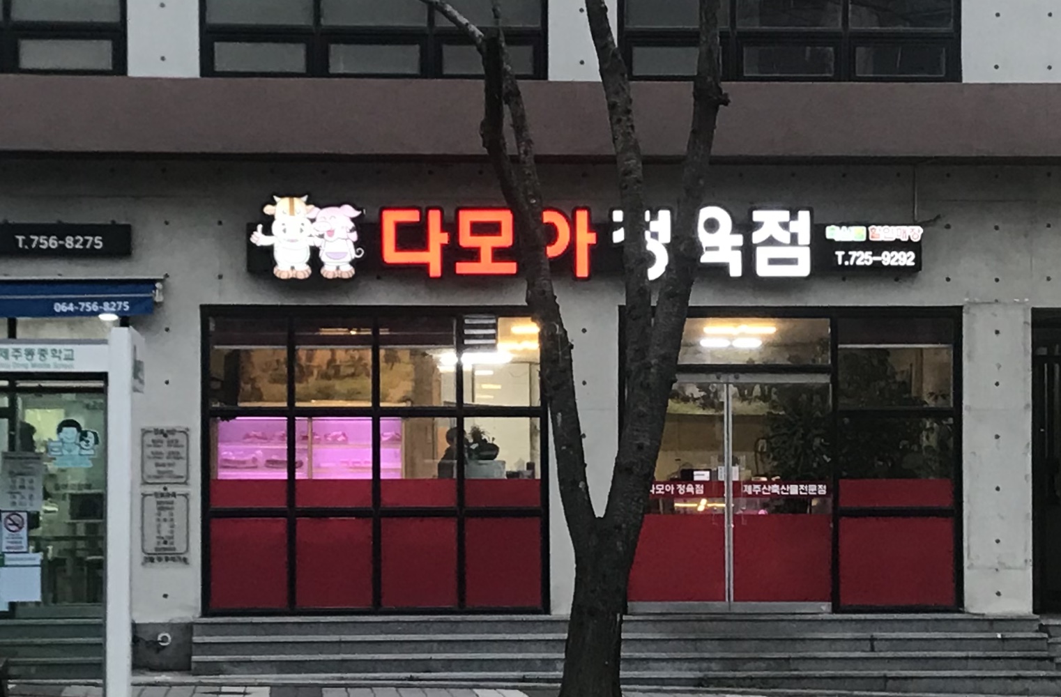 다모아정육점