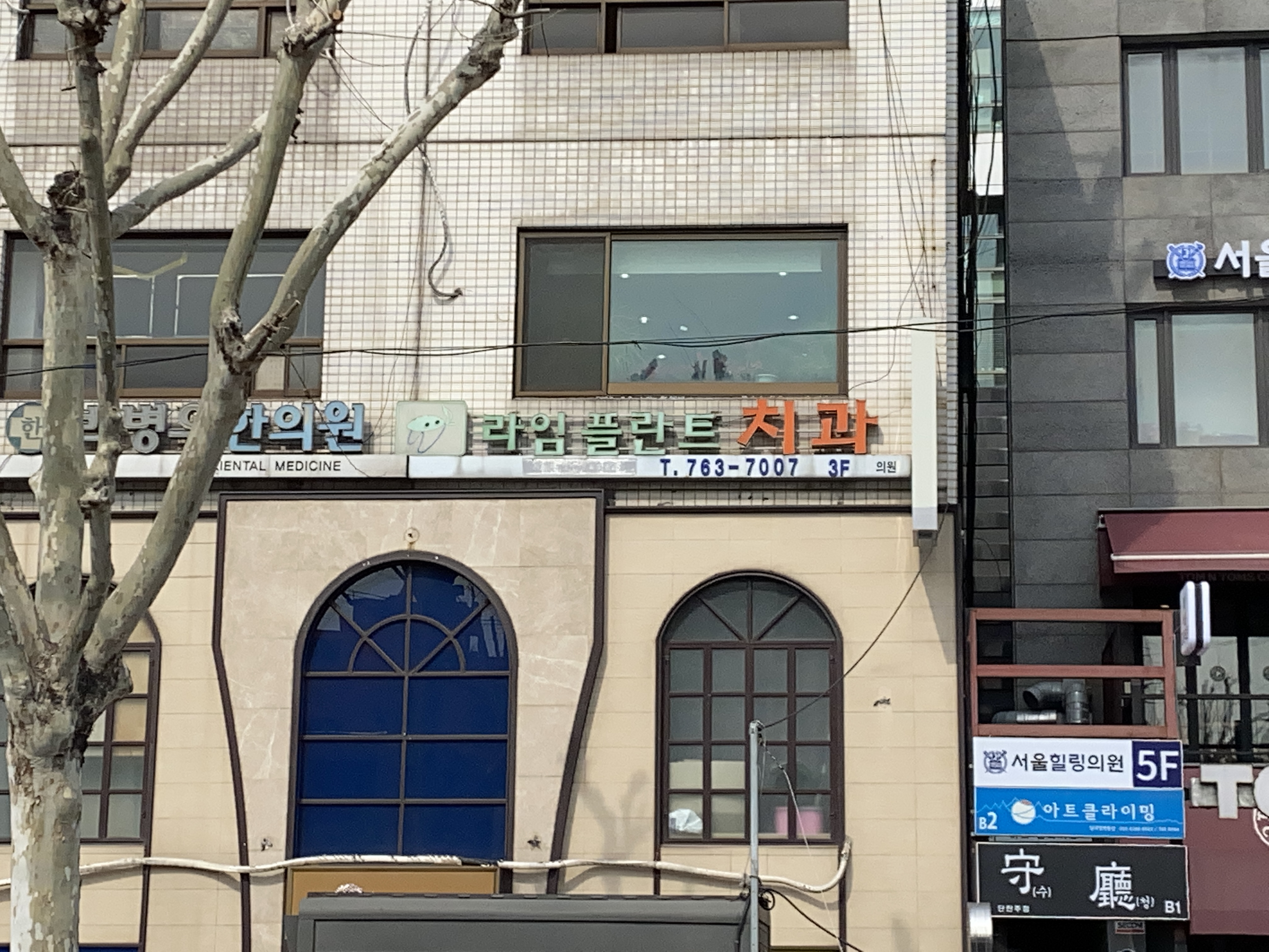 라임플란트치과의원 대표 이미지