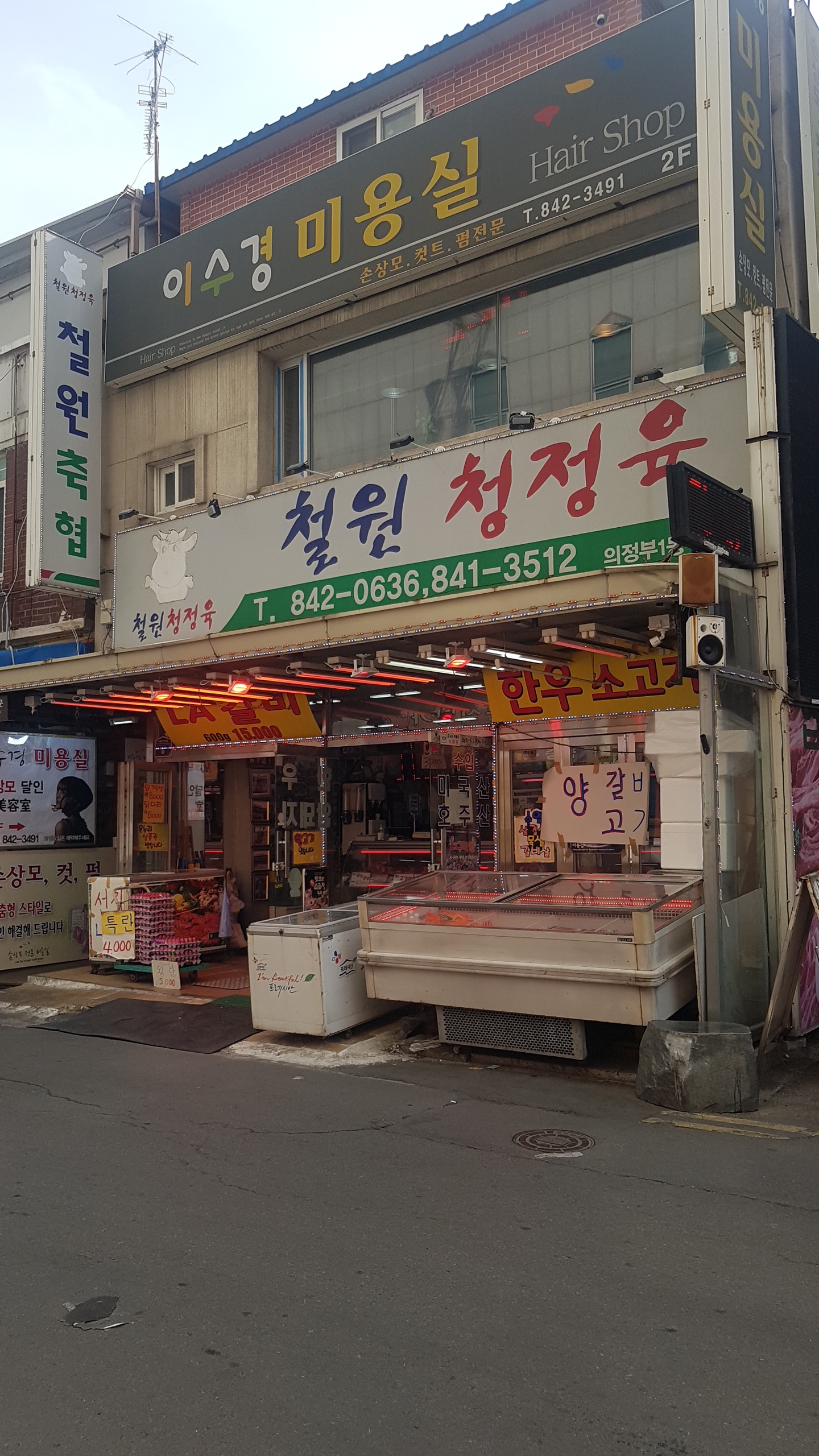 이수경헤어케스팅