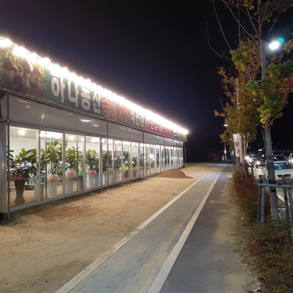 하나플라워