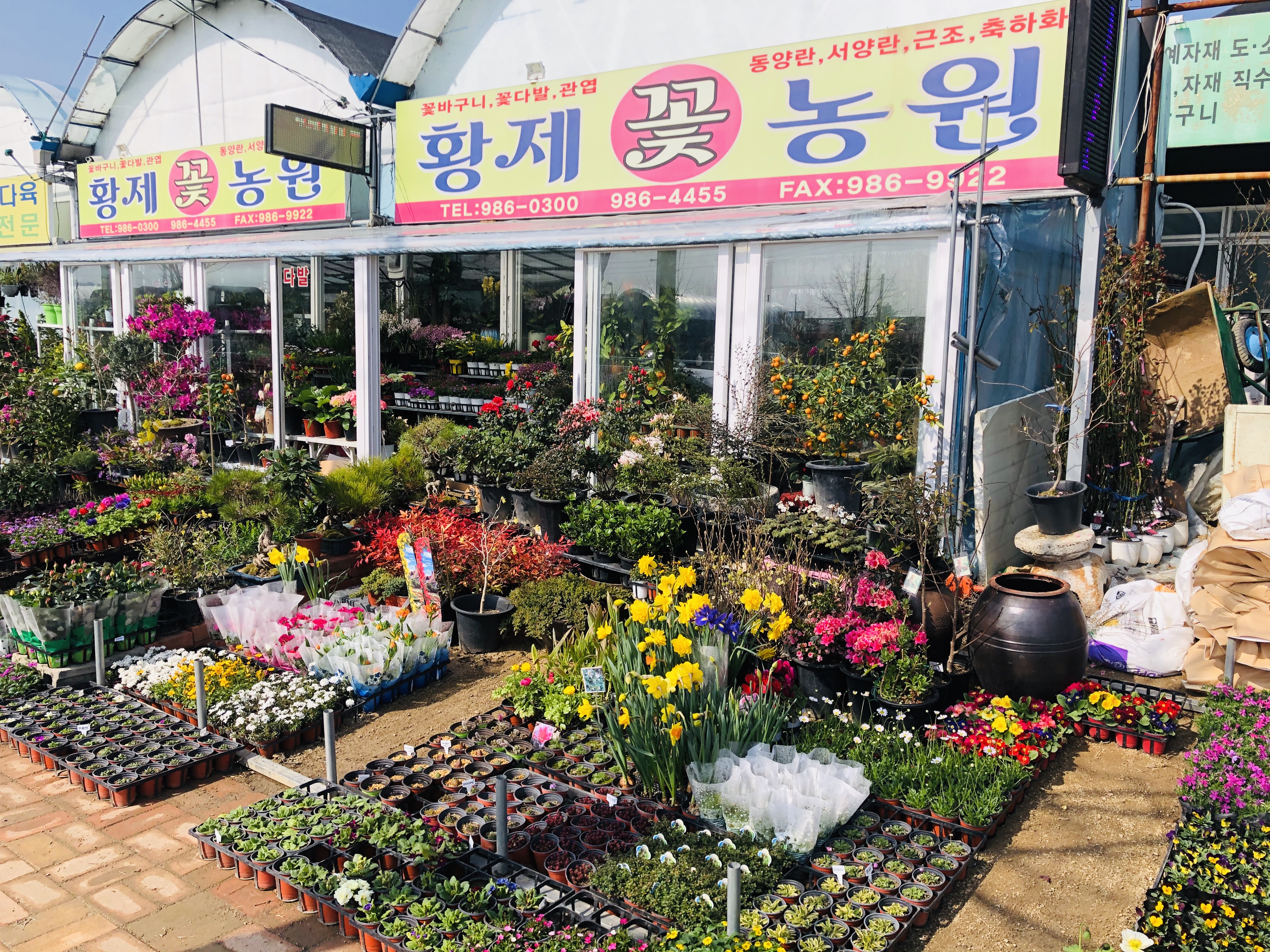 황제꽃농원