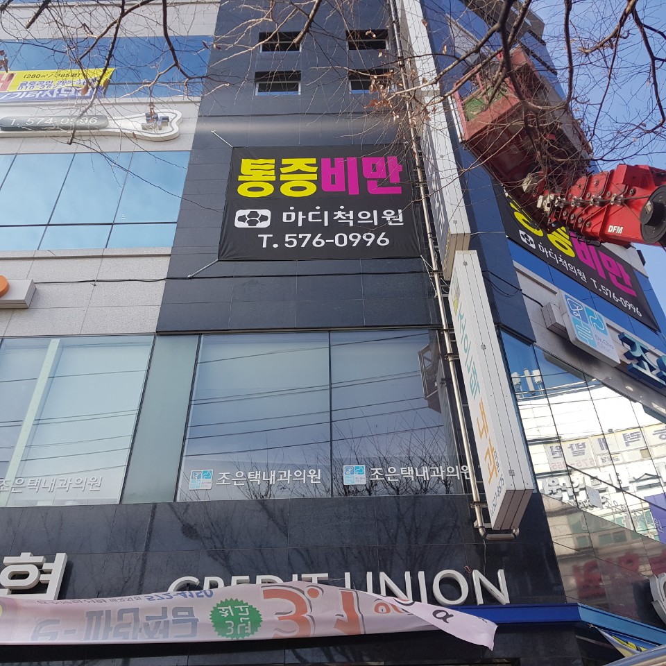 마디척의원