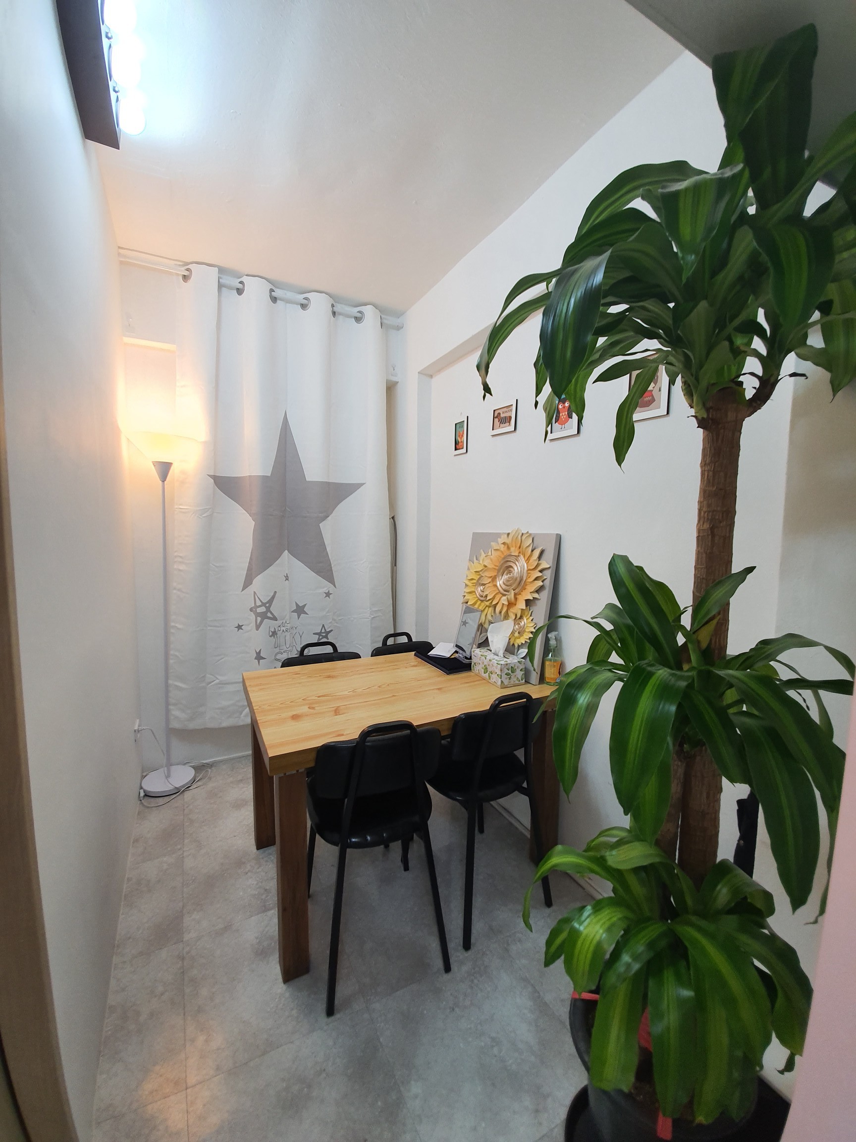 보니따부띠끄 대표 이미지