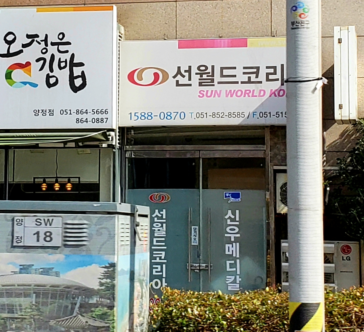 선월드코리아 photo 3