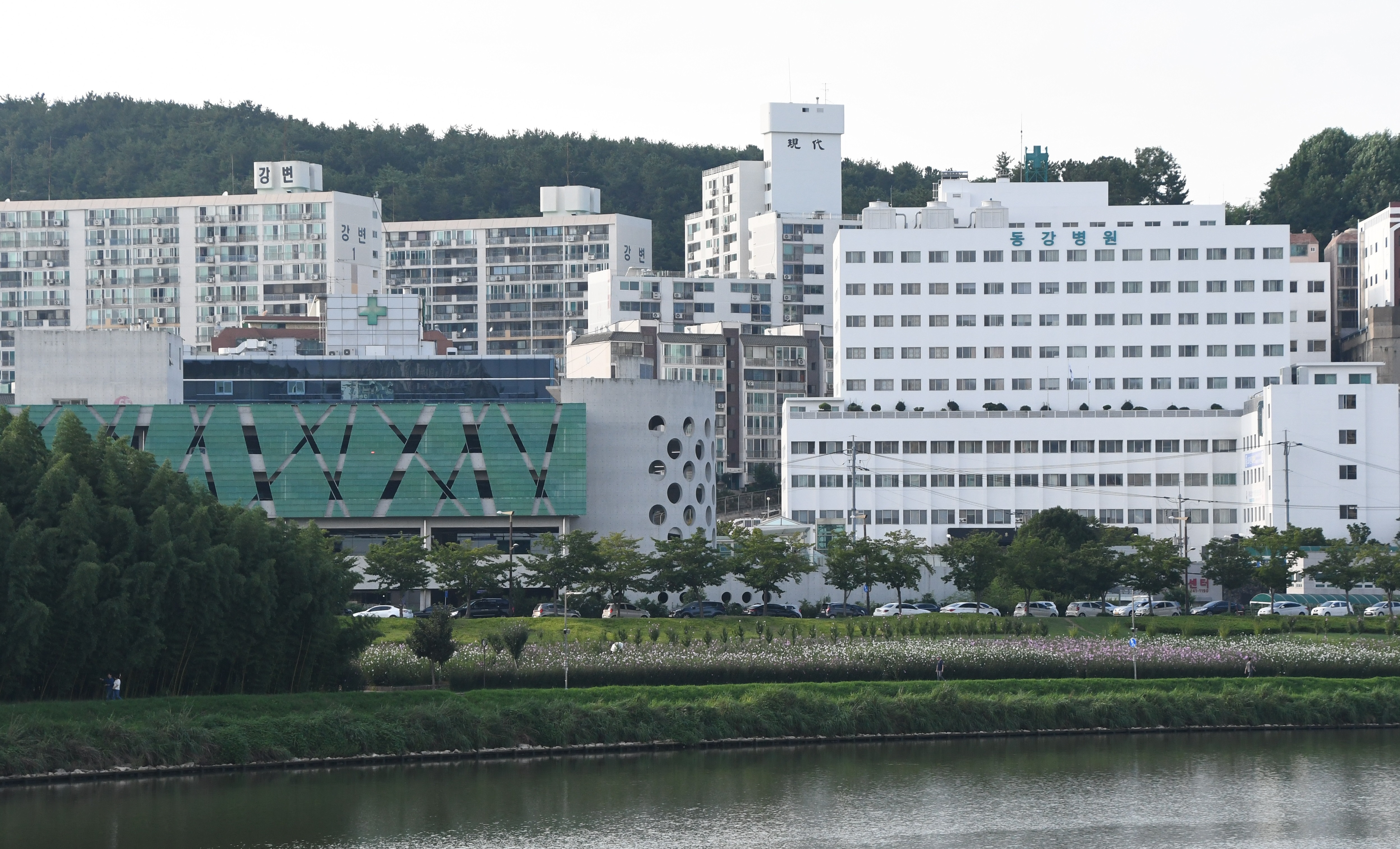 동강병원