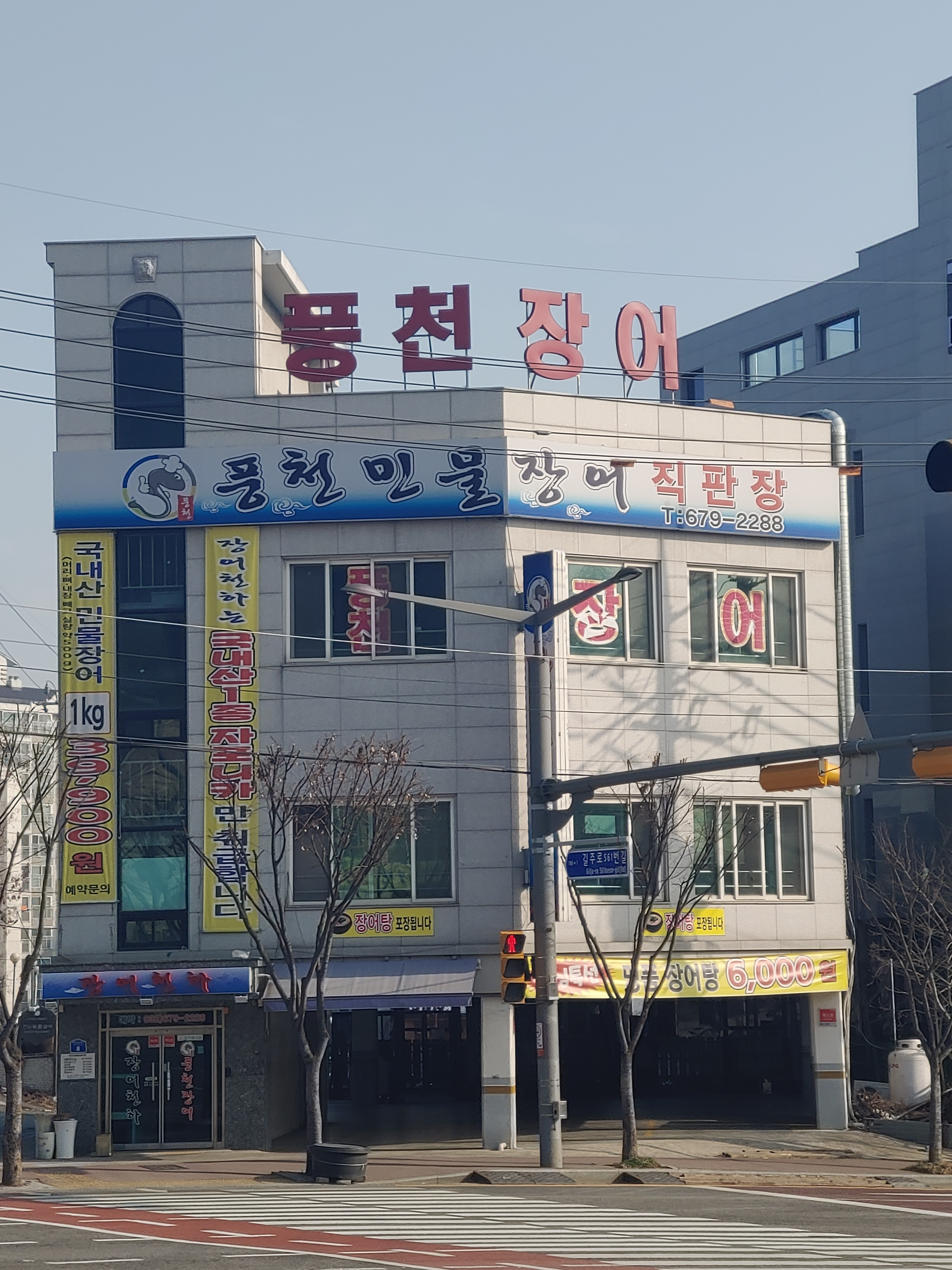 장어천하