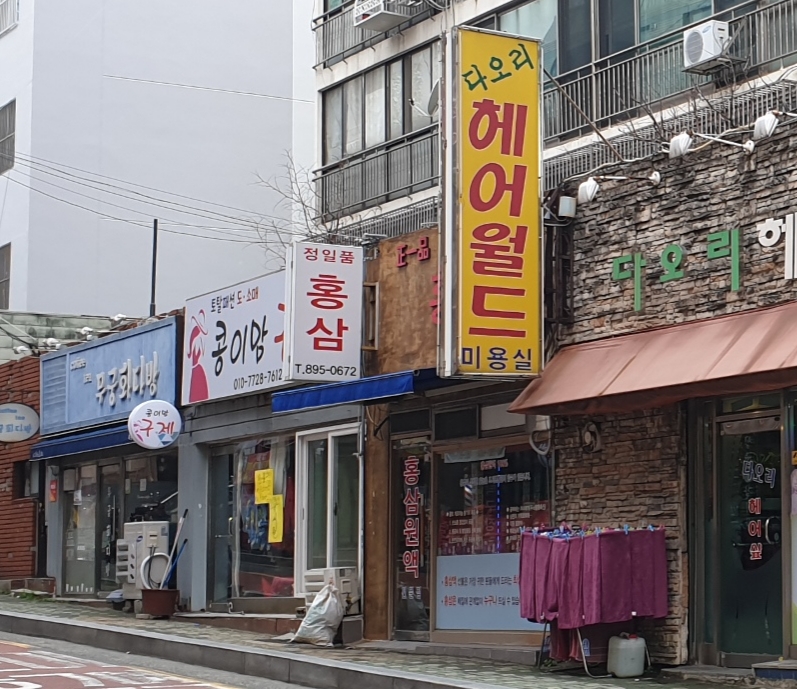 정일품홍삼