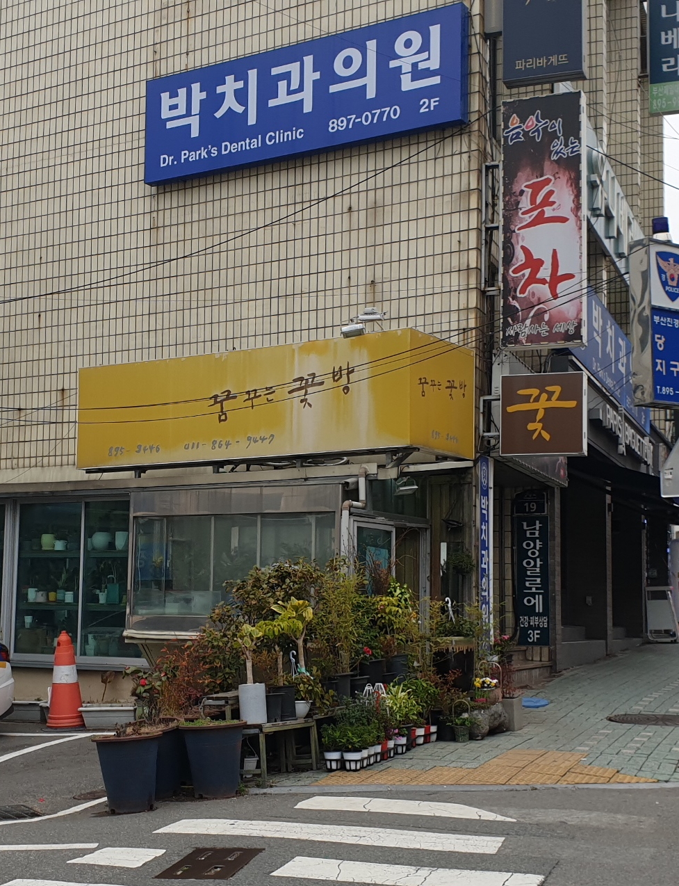 꿈꾸는꽃방