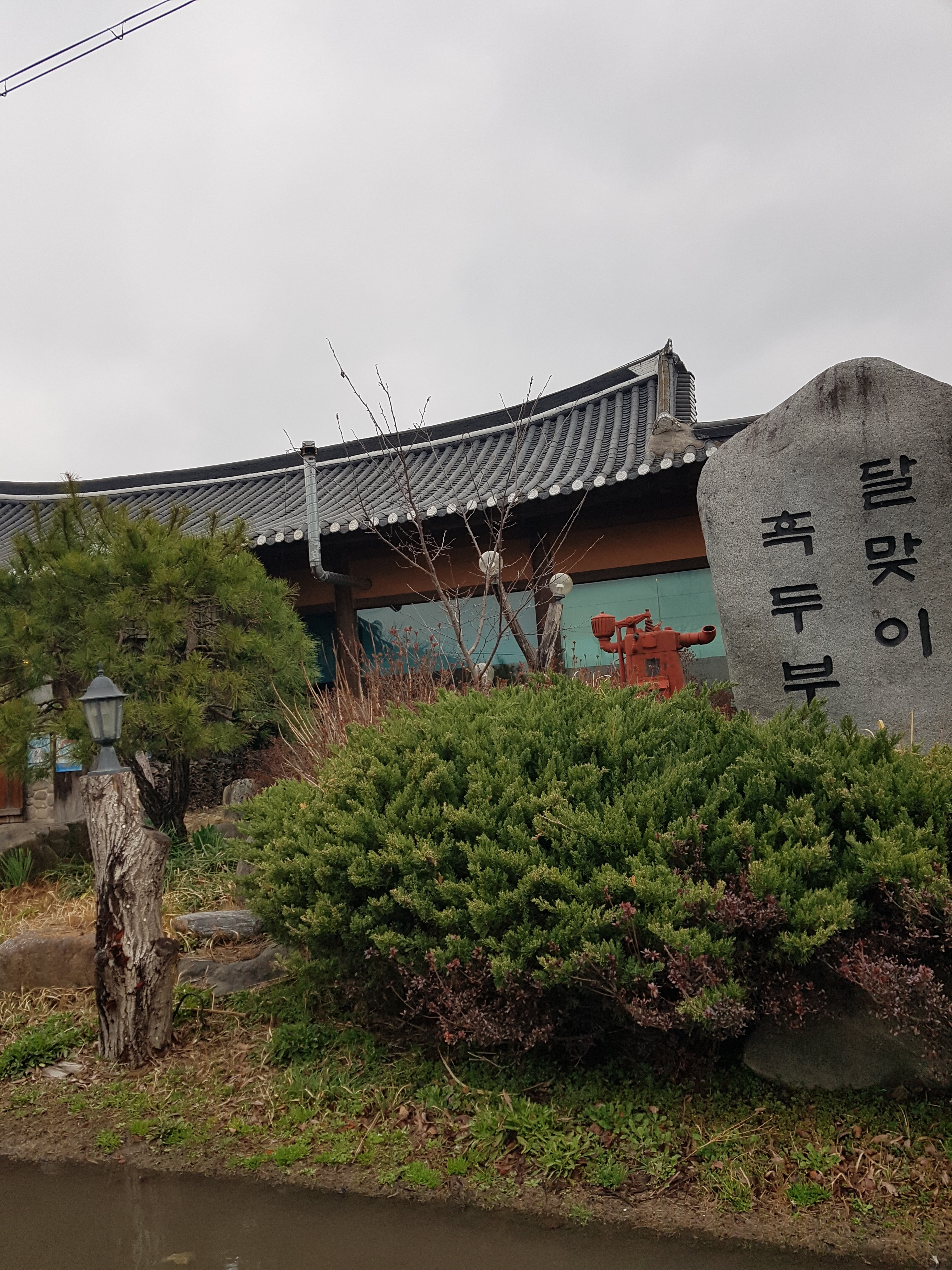 달맞이흑두부
