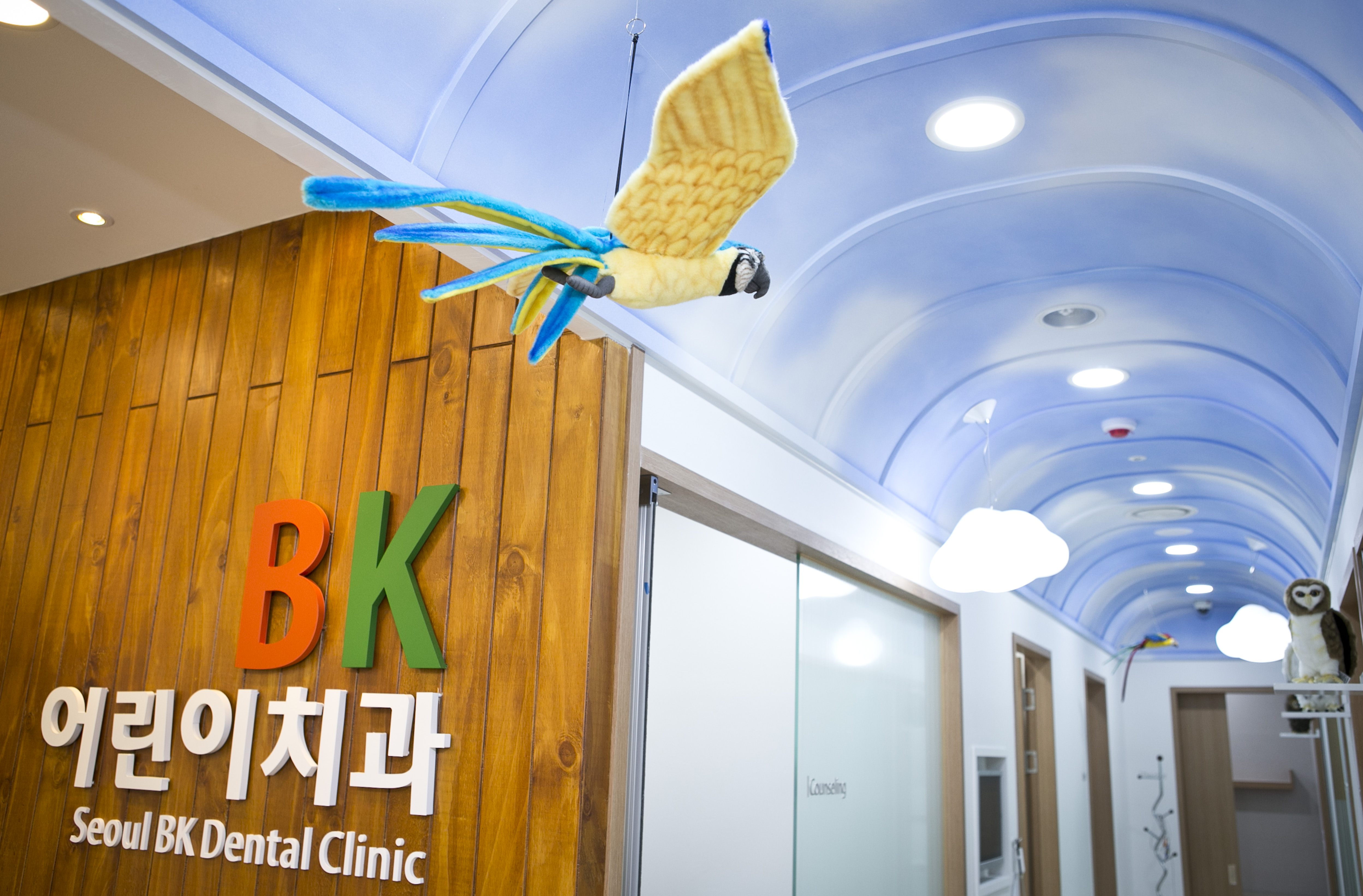 비케이소아치과치과의원