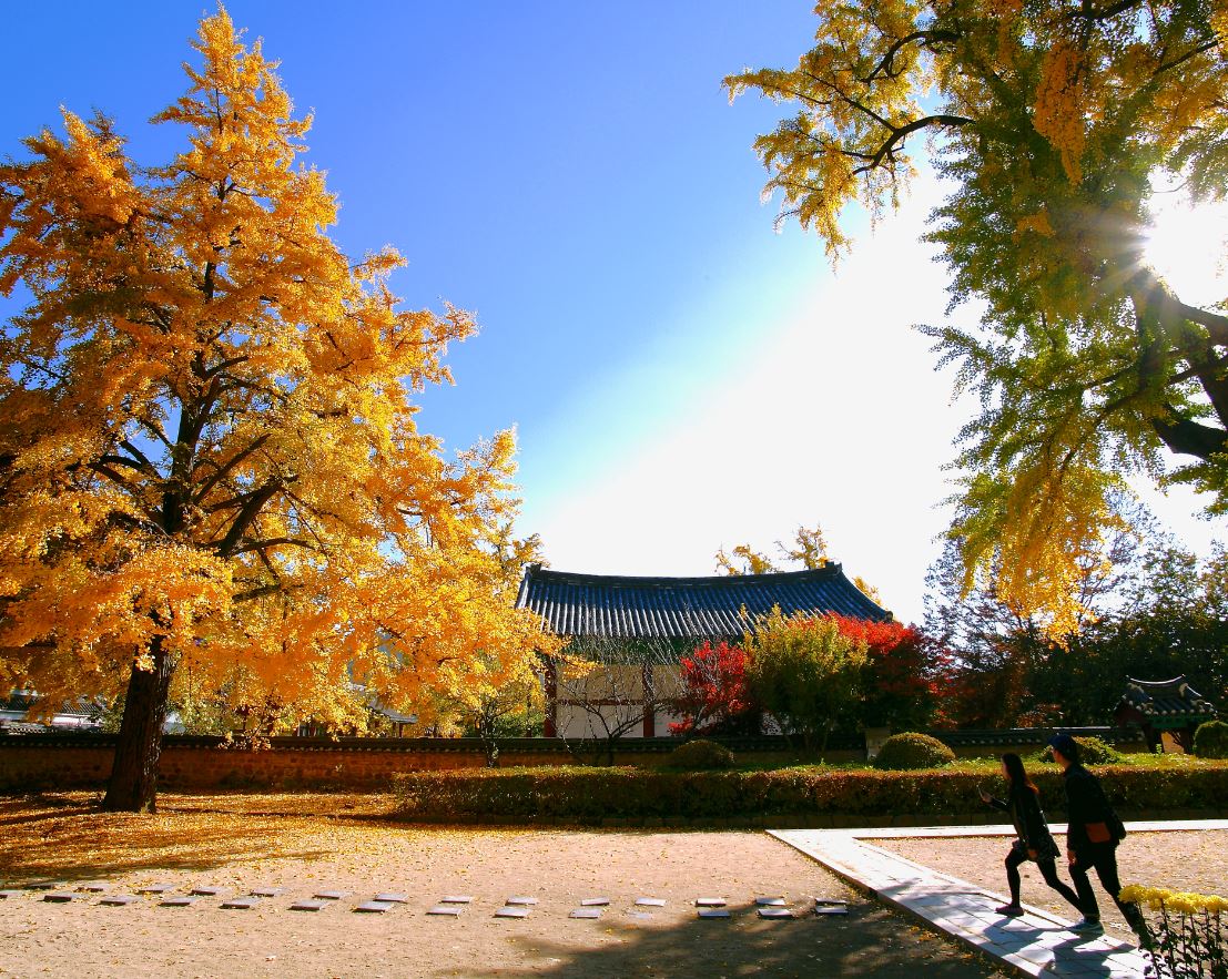 전주 한옥마을 대표 이미지