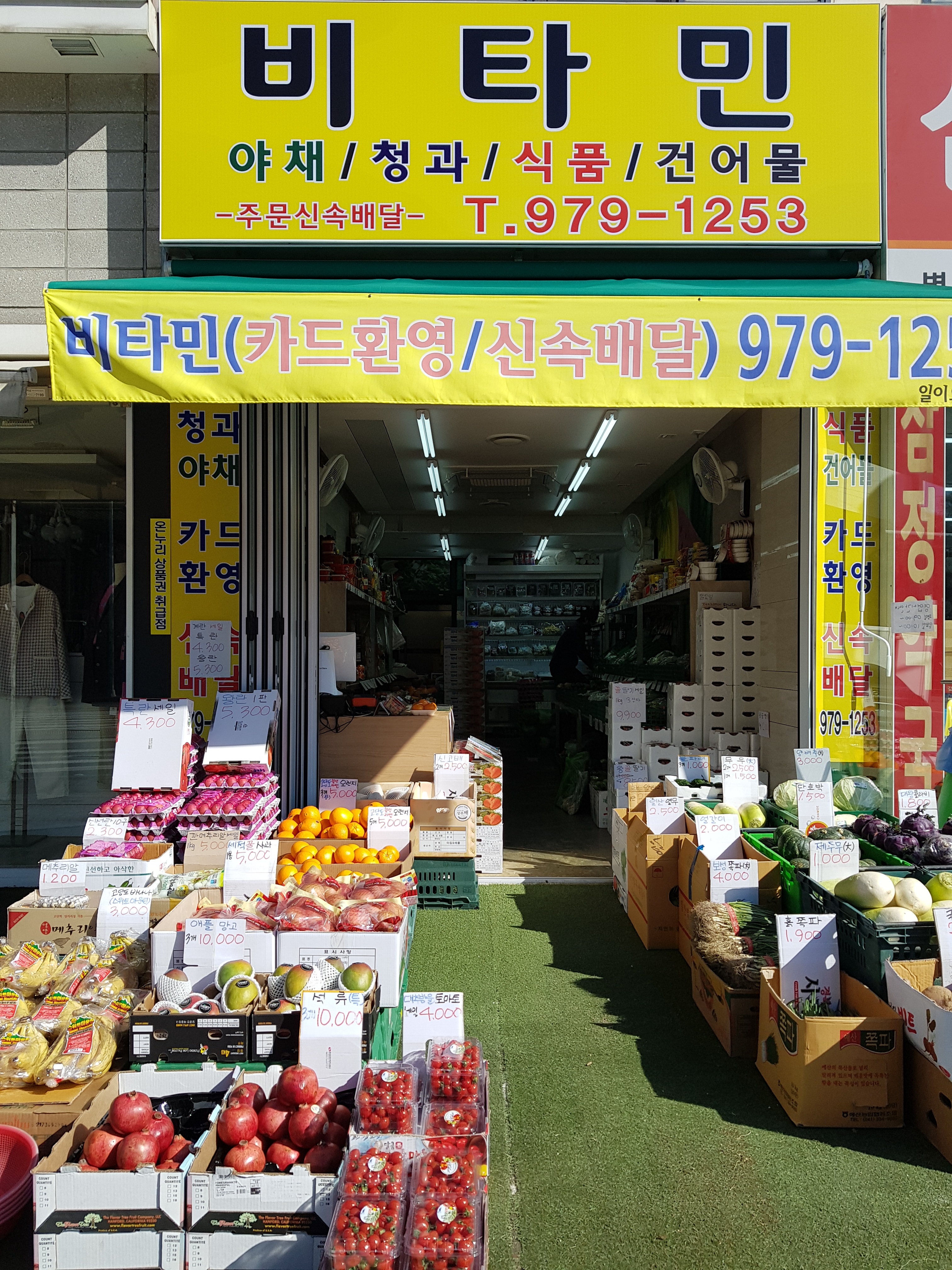 비타민