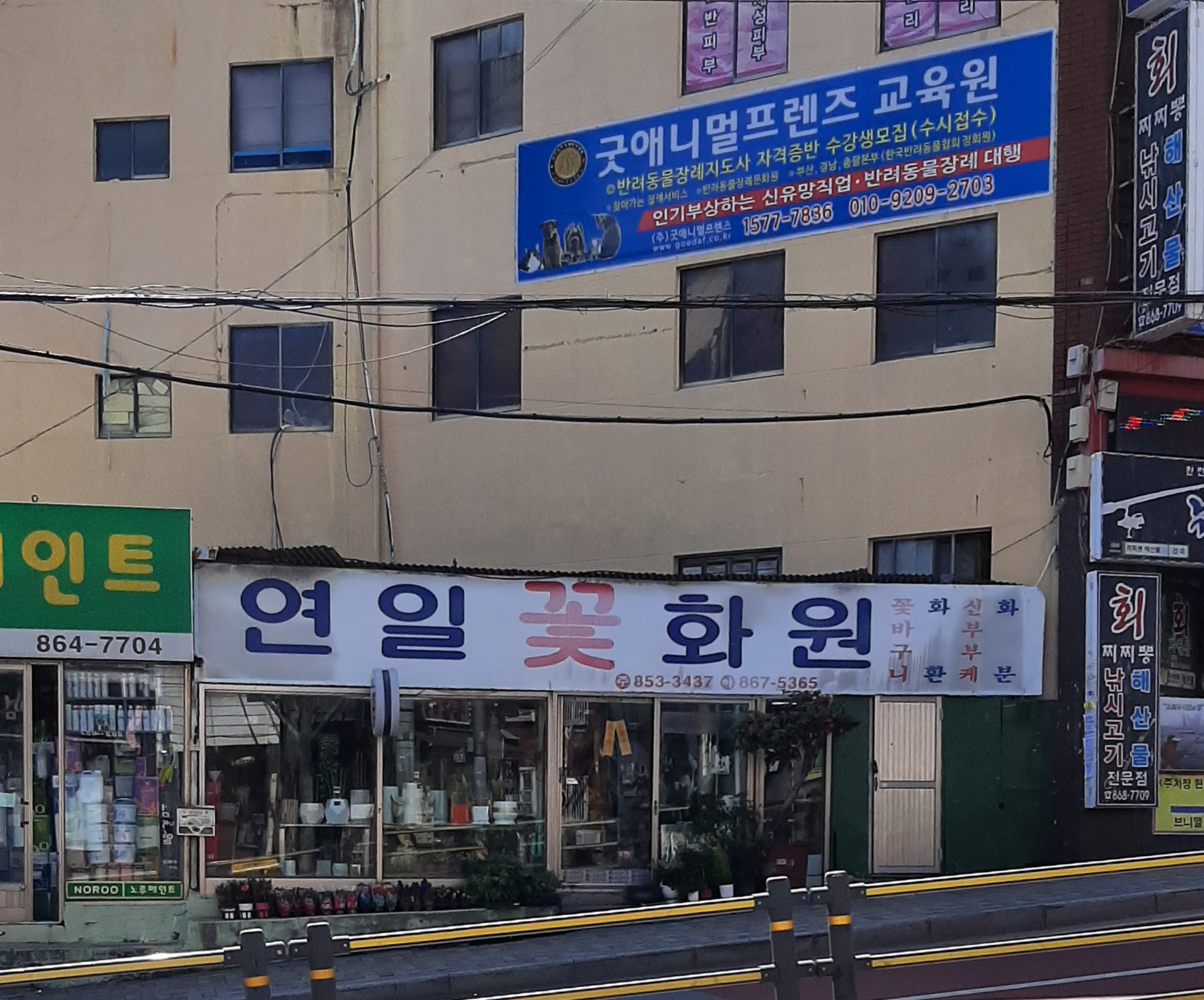 연일꽃화원