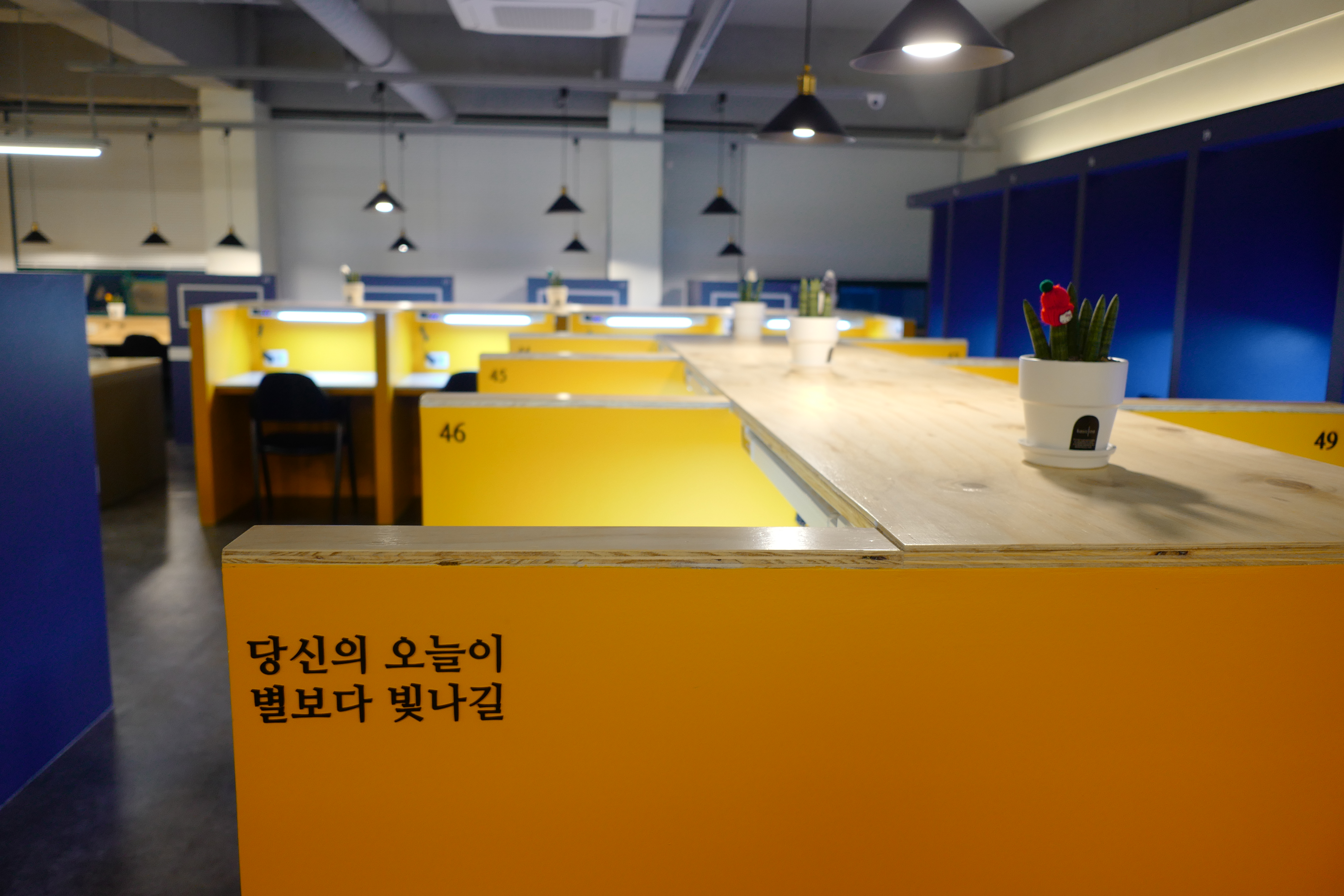 업체사진