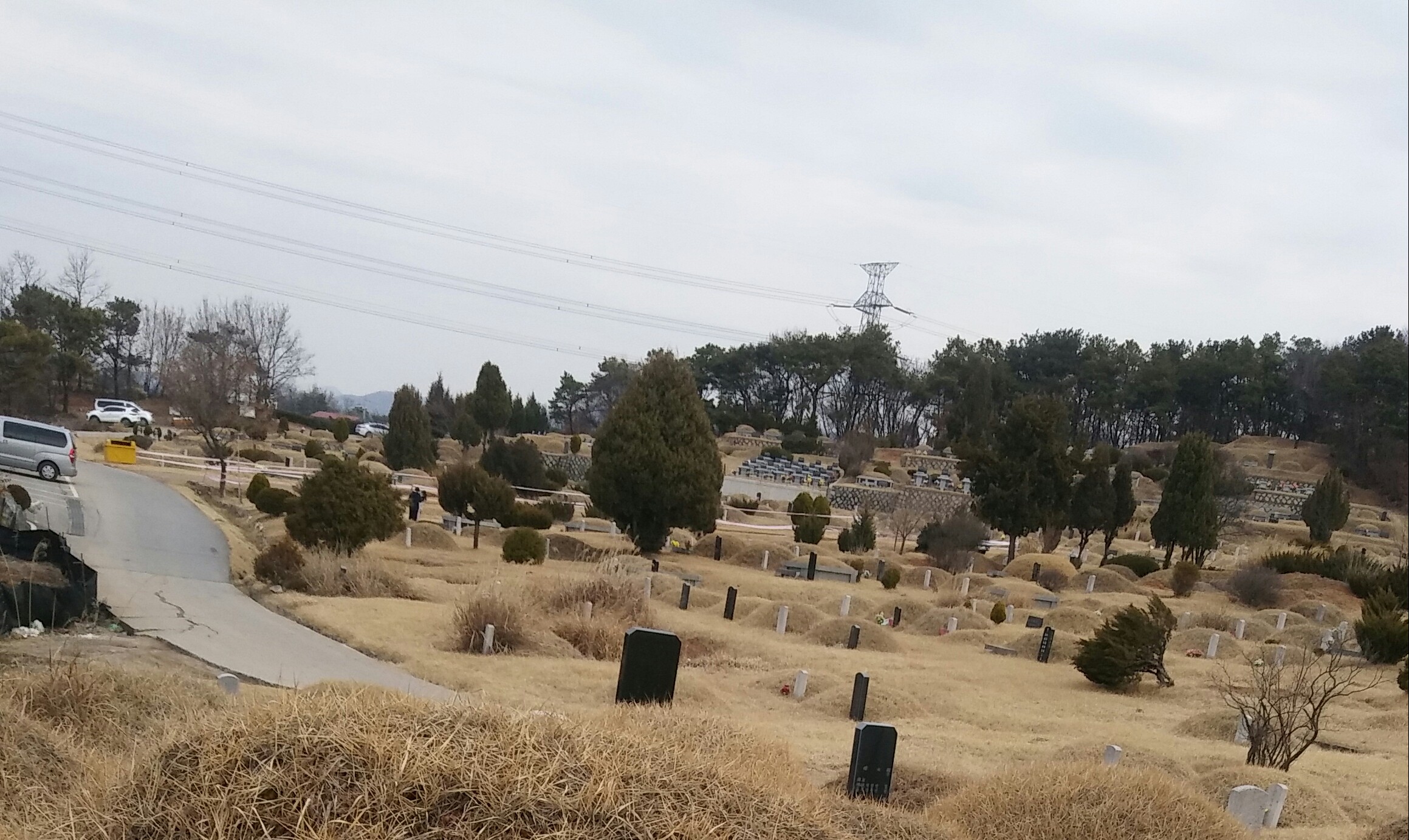 자하연일산