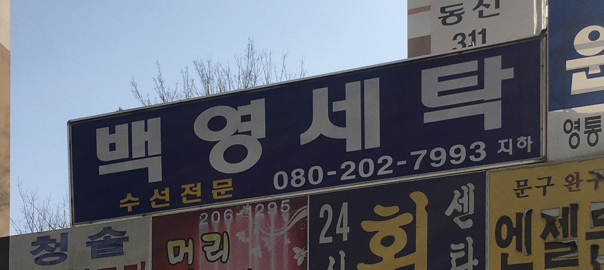 백영세탁