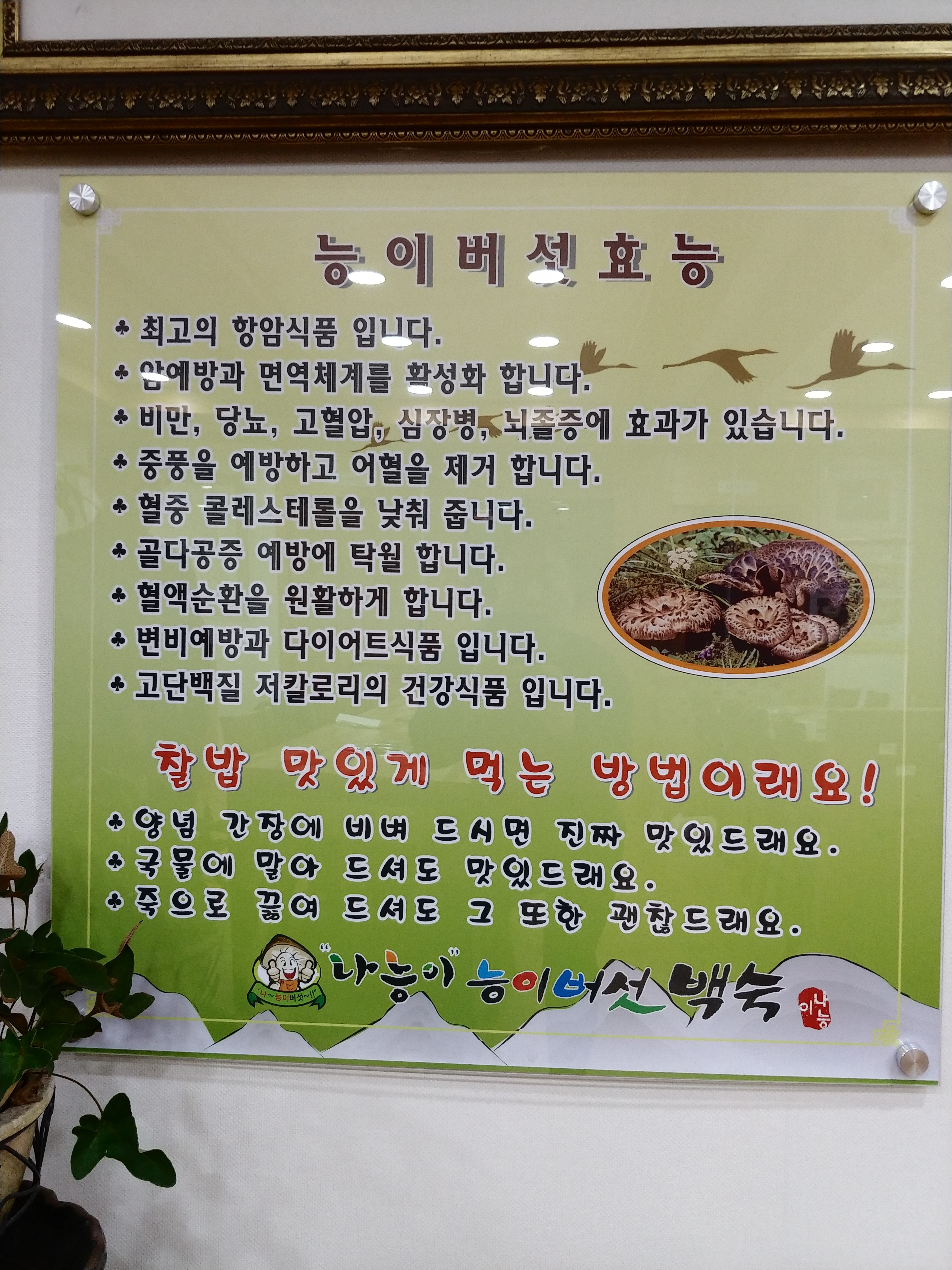 올능이능이버섯백숙