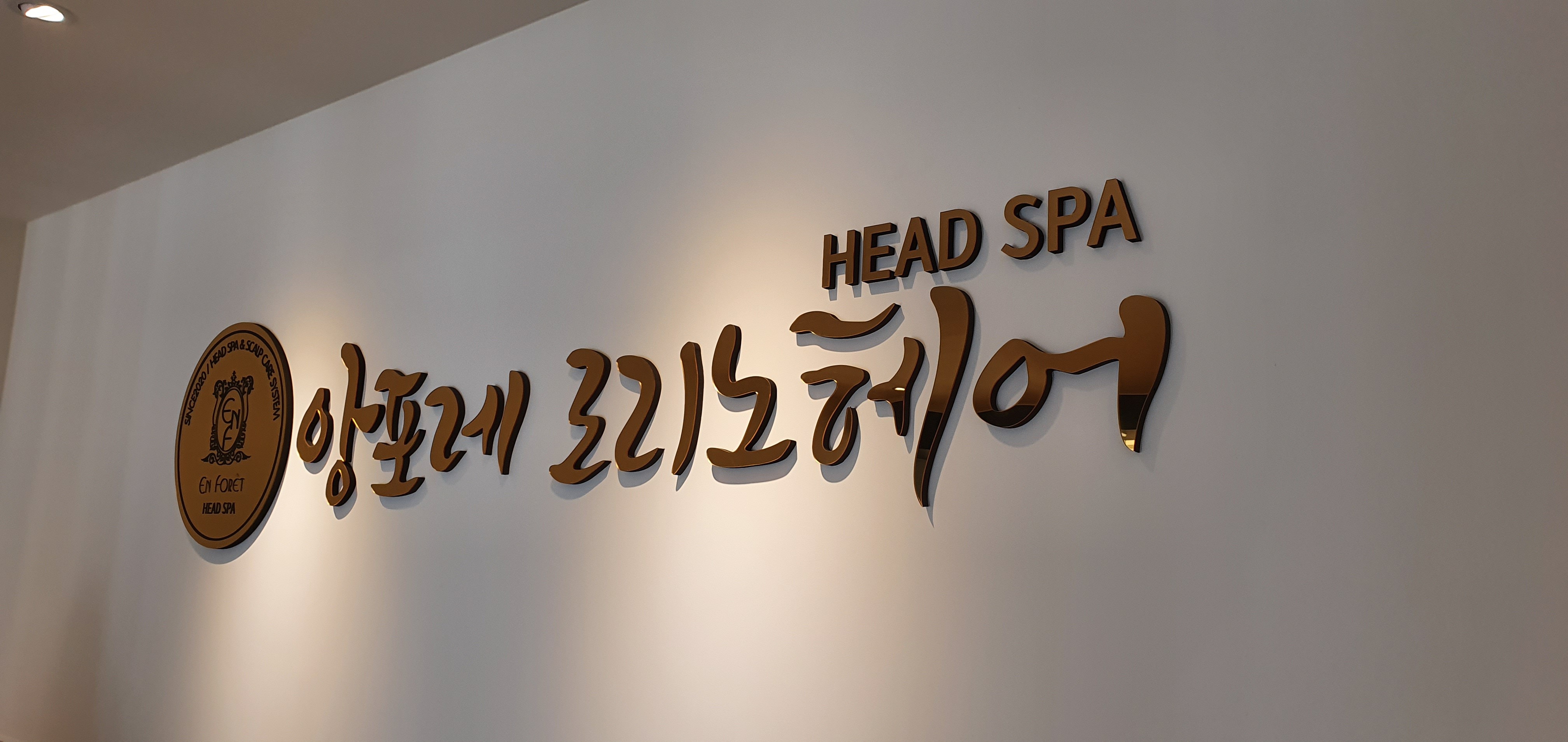 앙포레모리노헤어 증평점