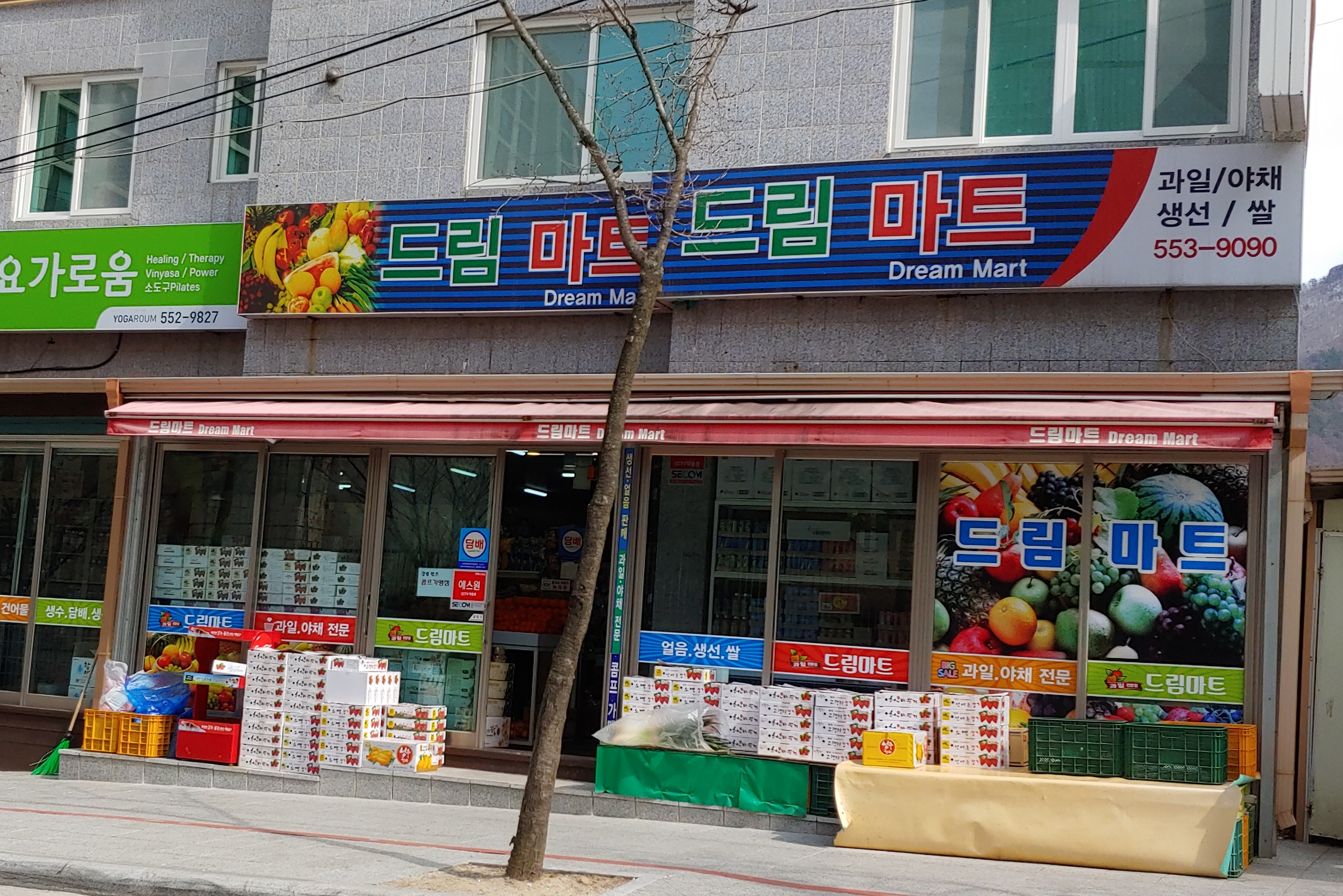 드림마트