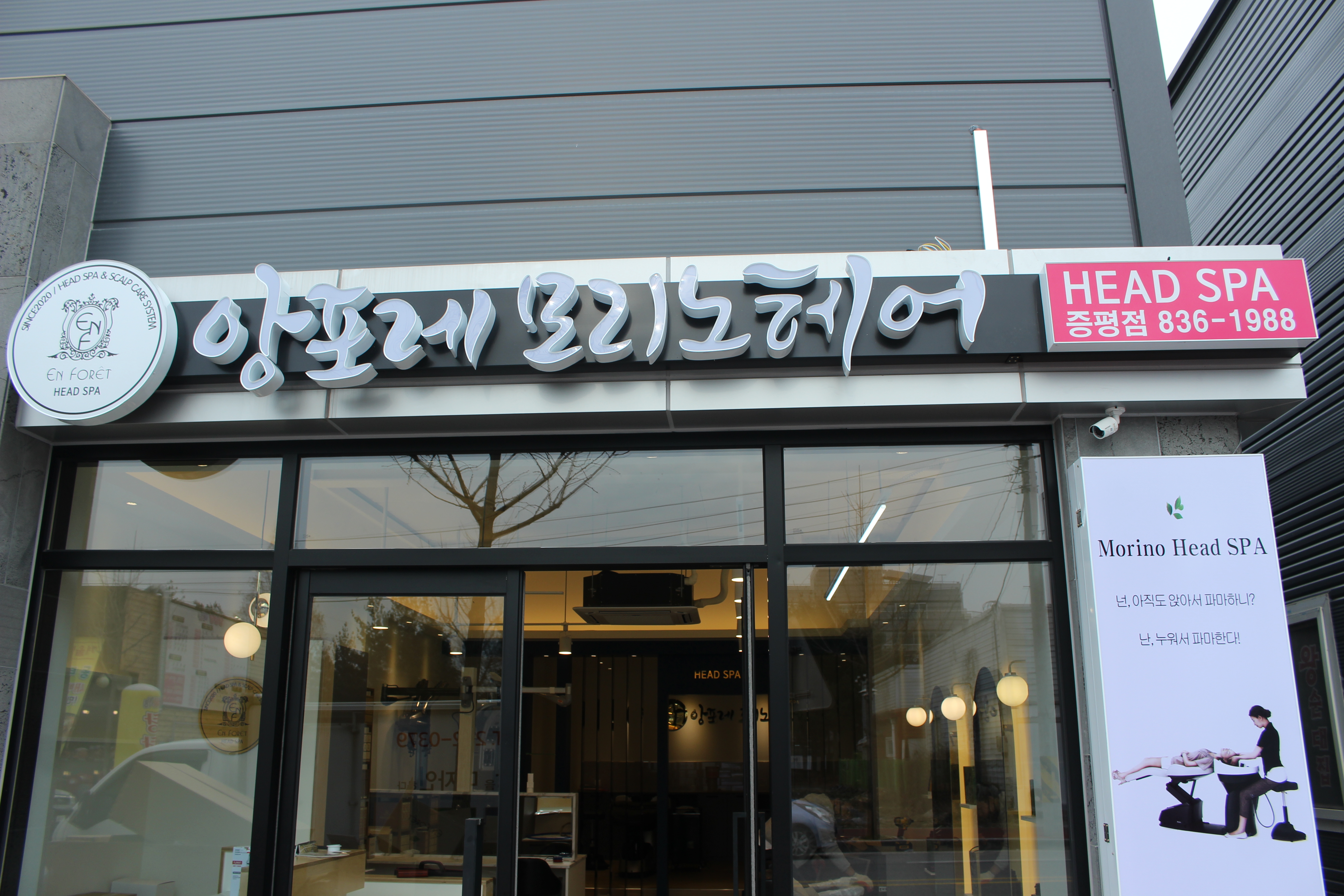 앙포레모리노헤어 증평점