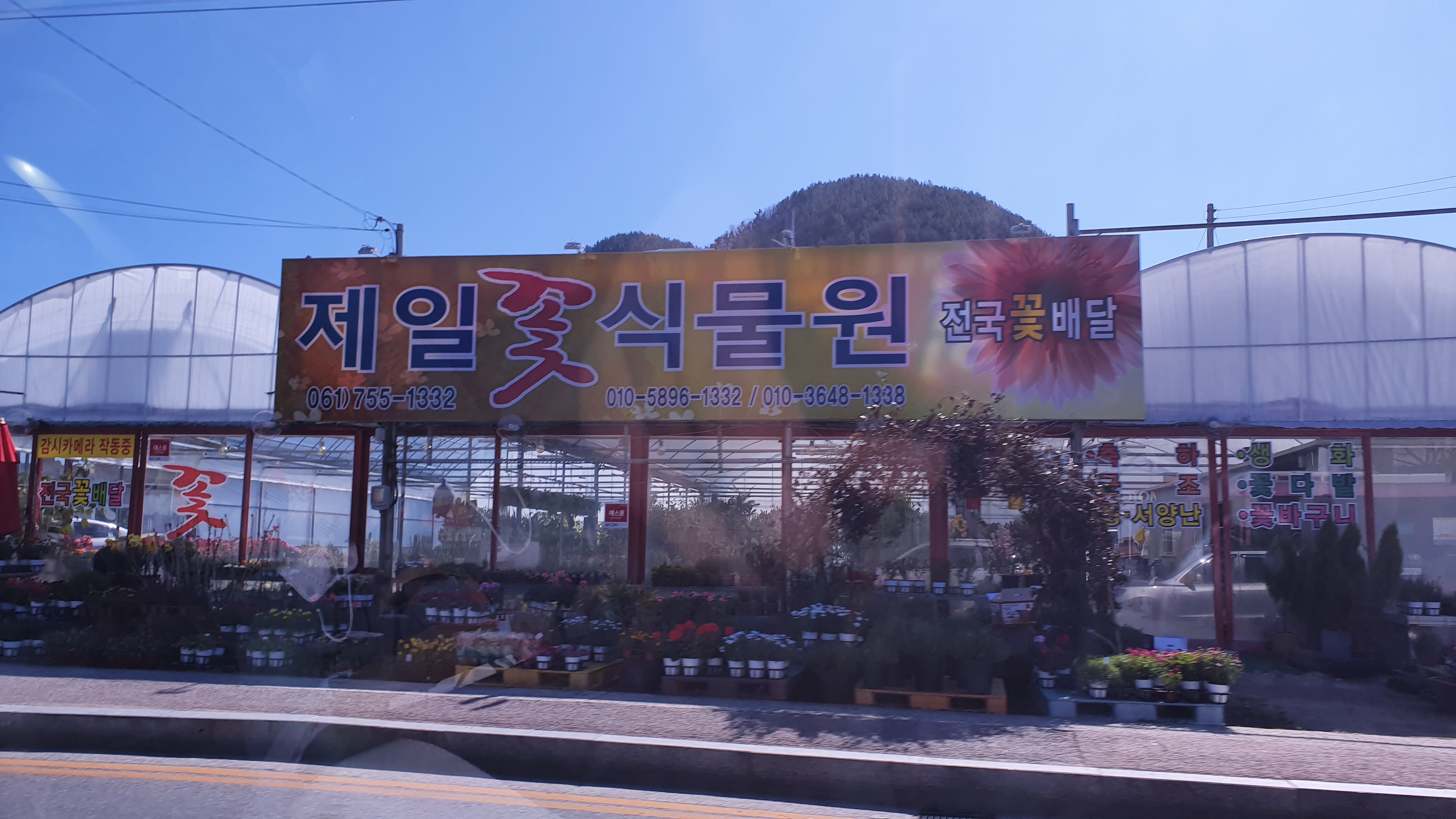 제일꽃식물원
