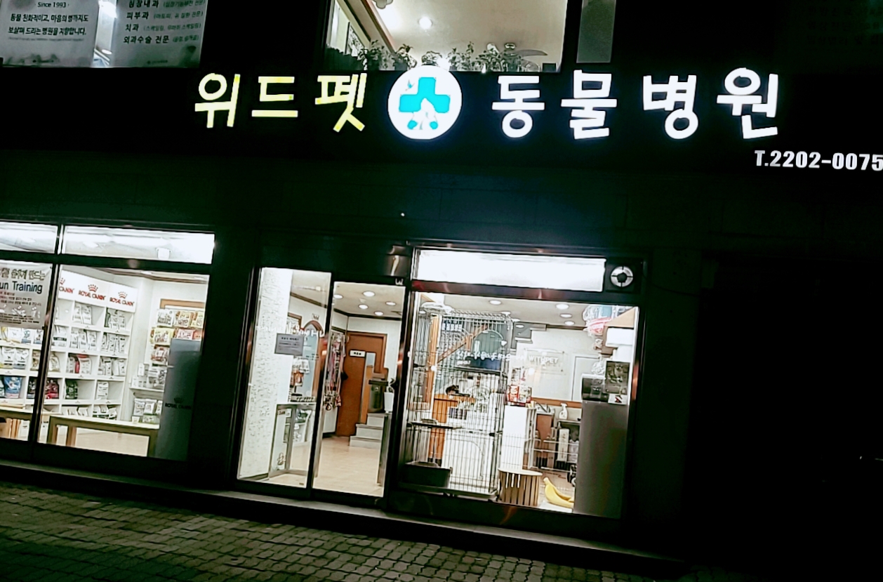 이미지
