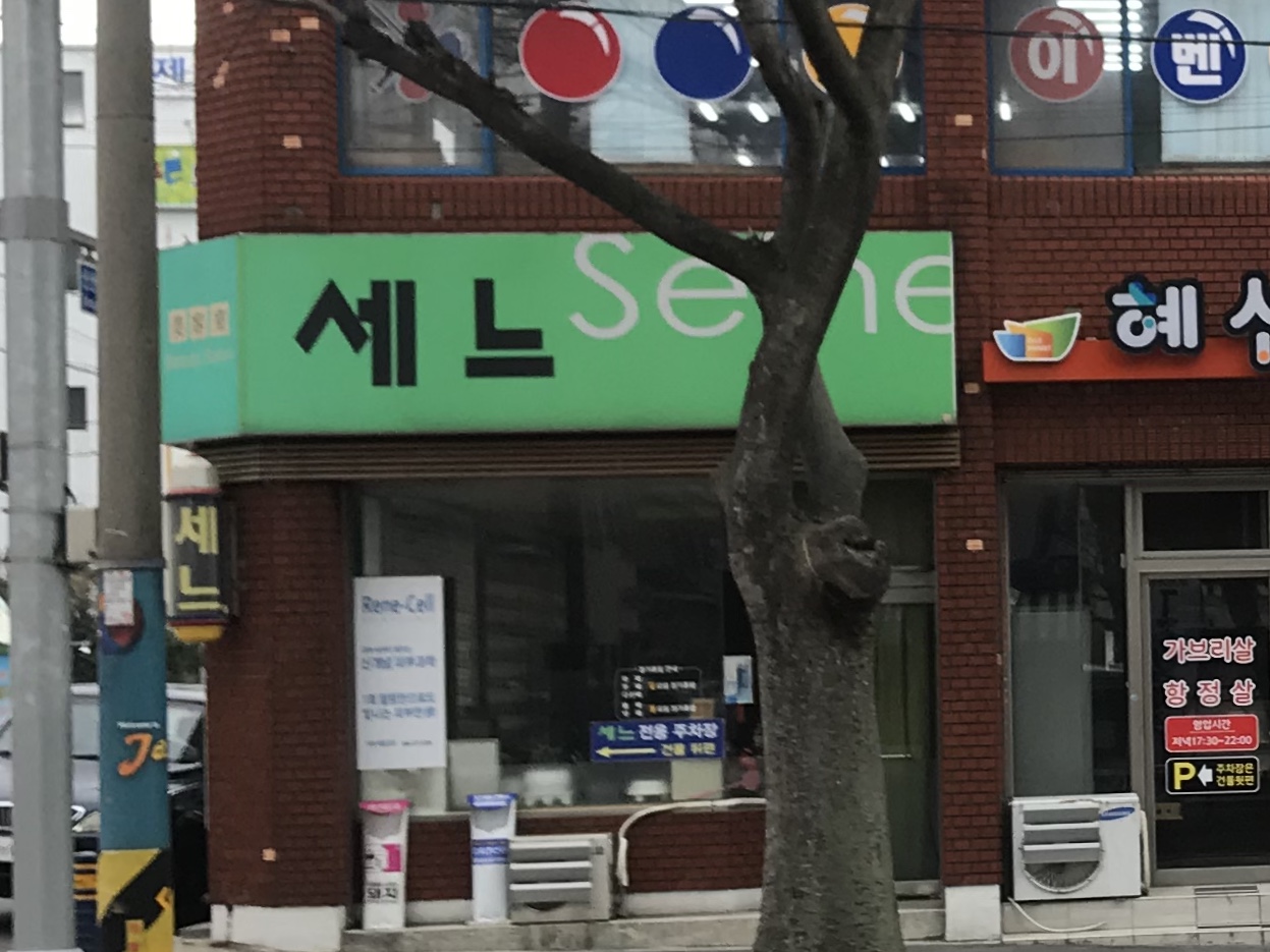 세느헤어콜렉션