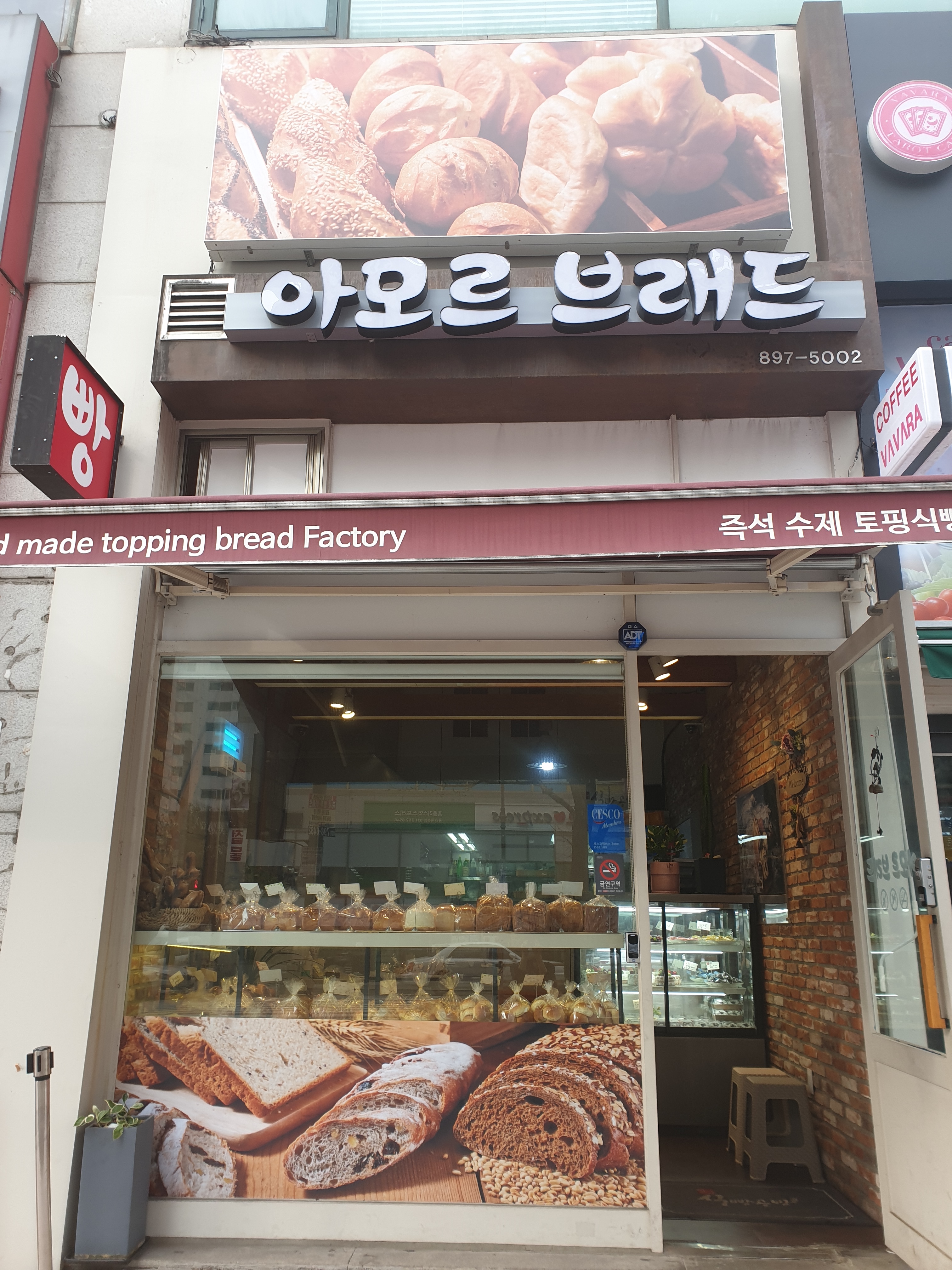 아모르브래드