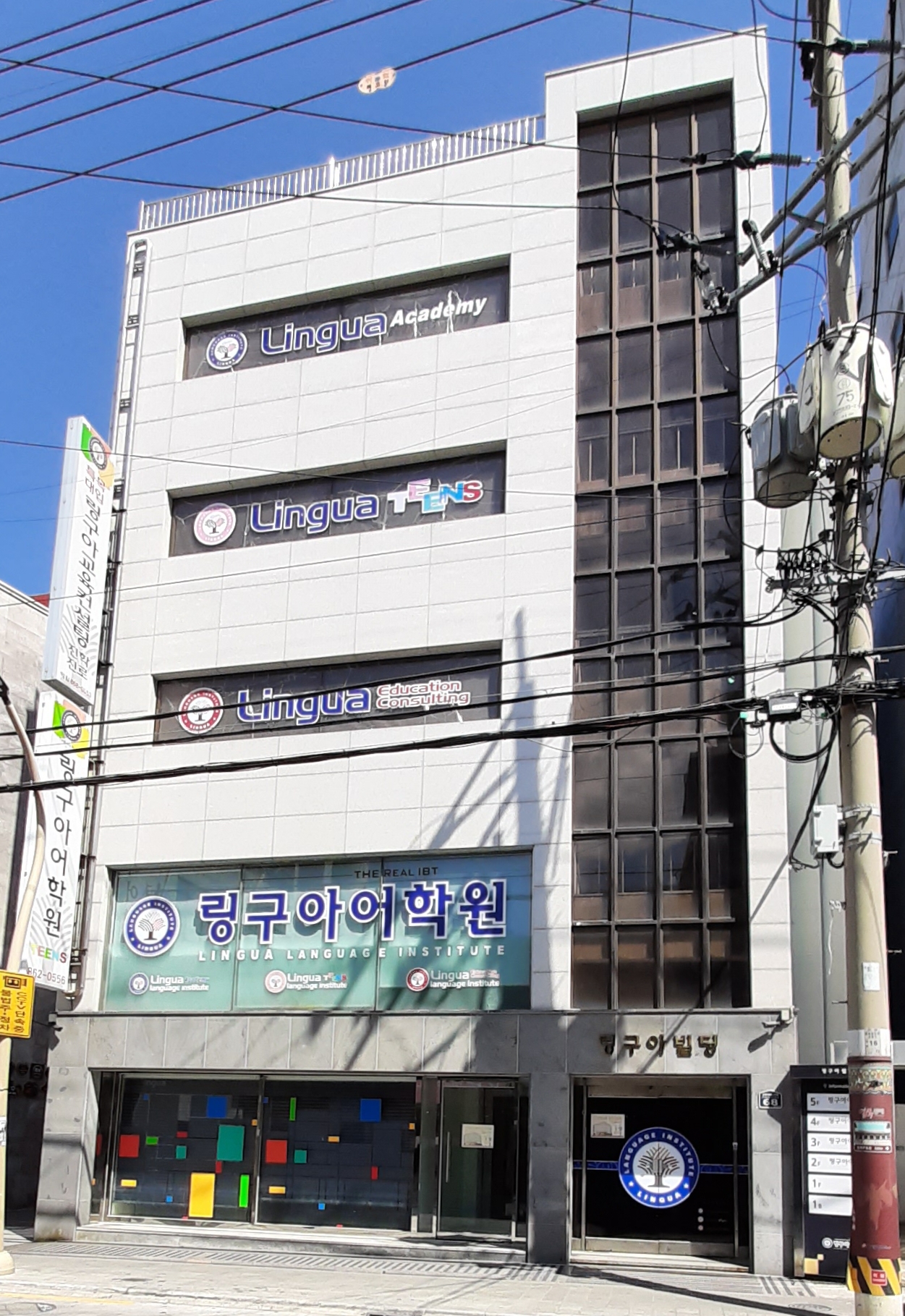 링구아교육컨설팅 대표 이미지