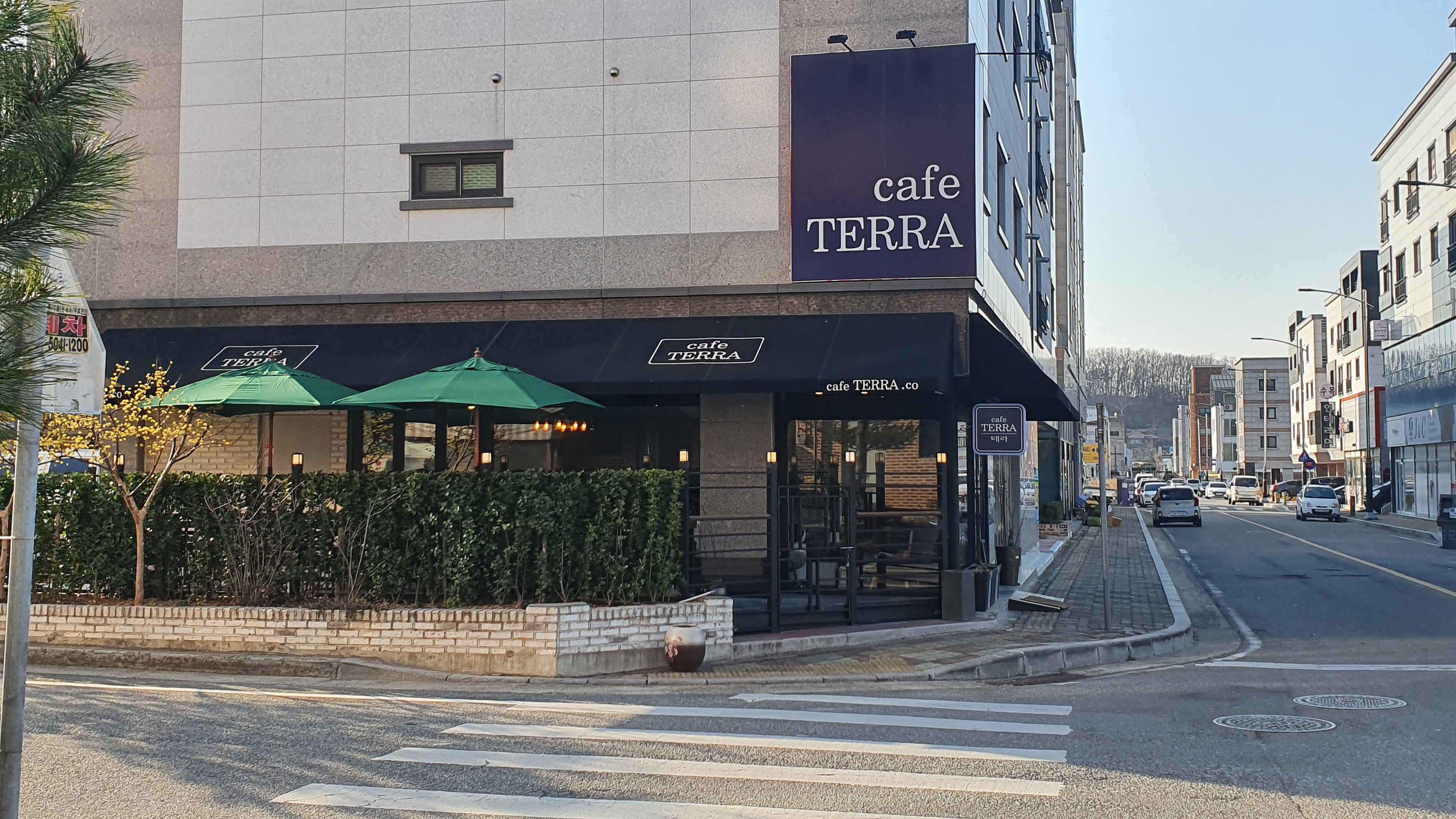 카페테라