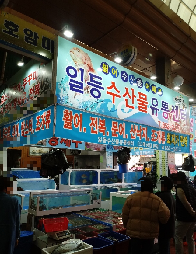 일등수산
