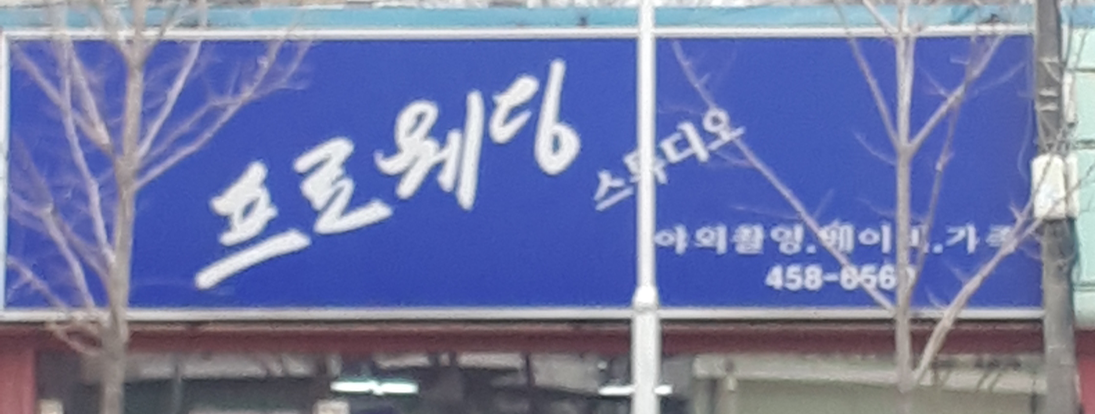 프로웨딩스튜디오 대표 이미지