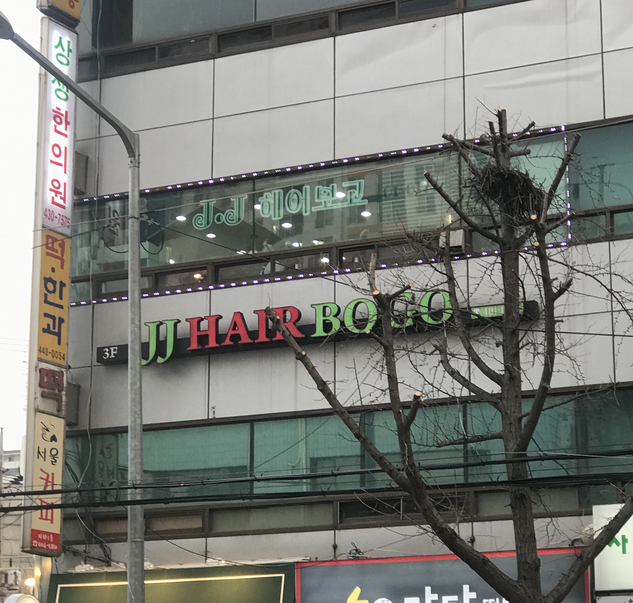 제이제이헤어보고