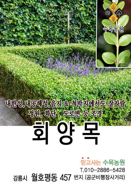 수목농원