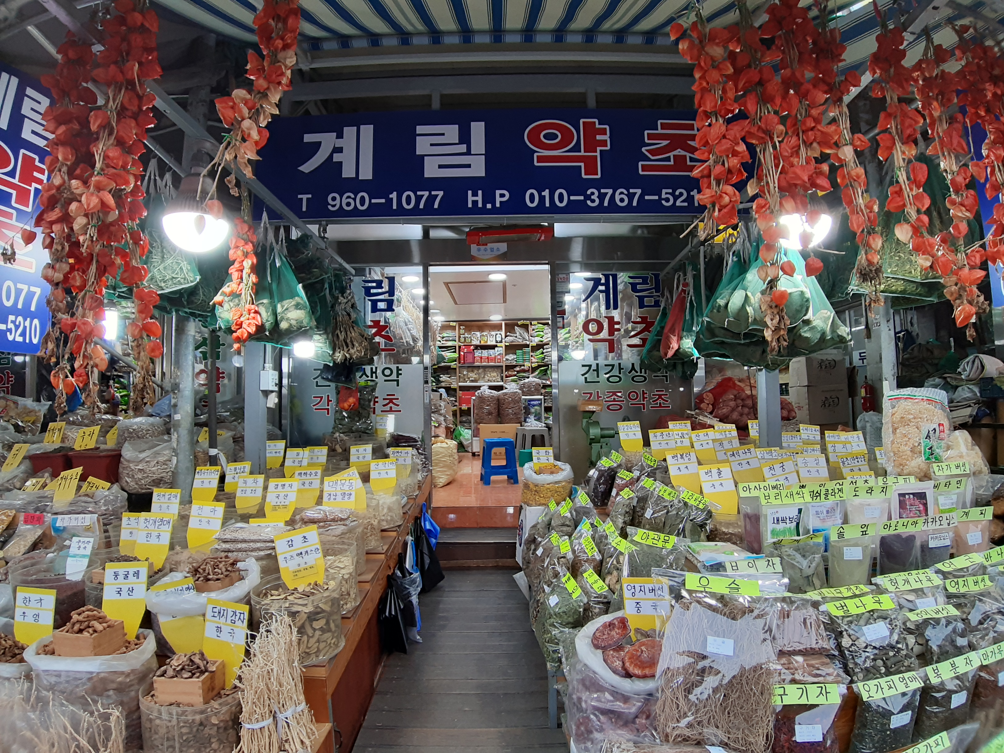 계림약초