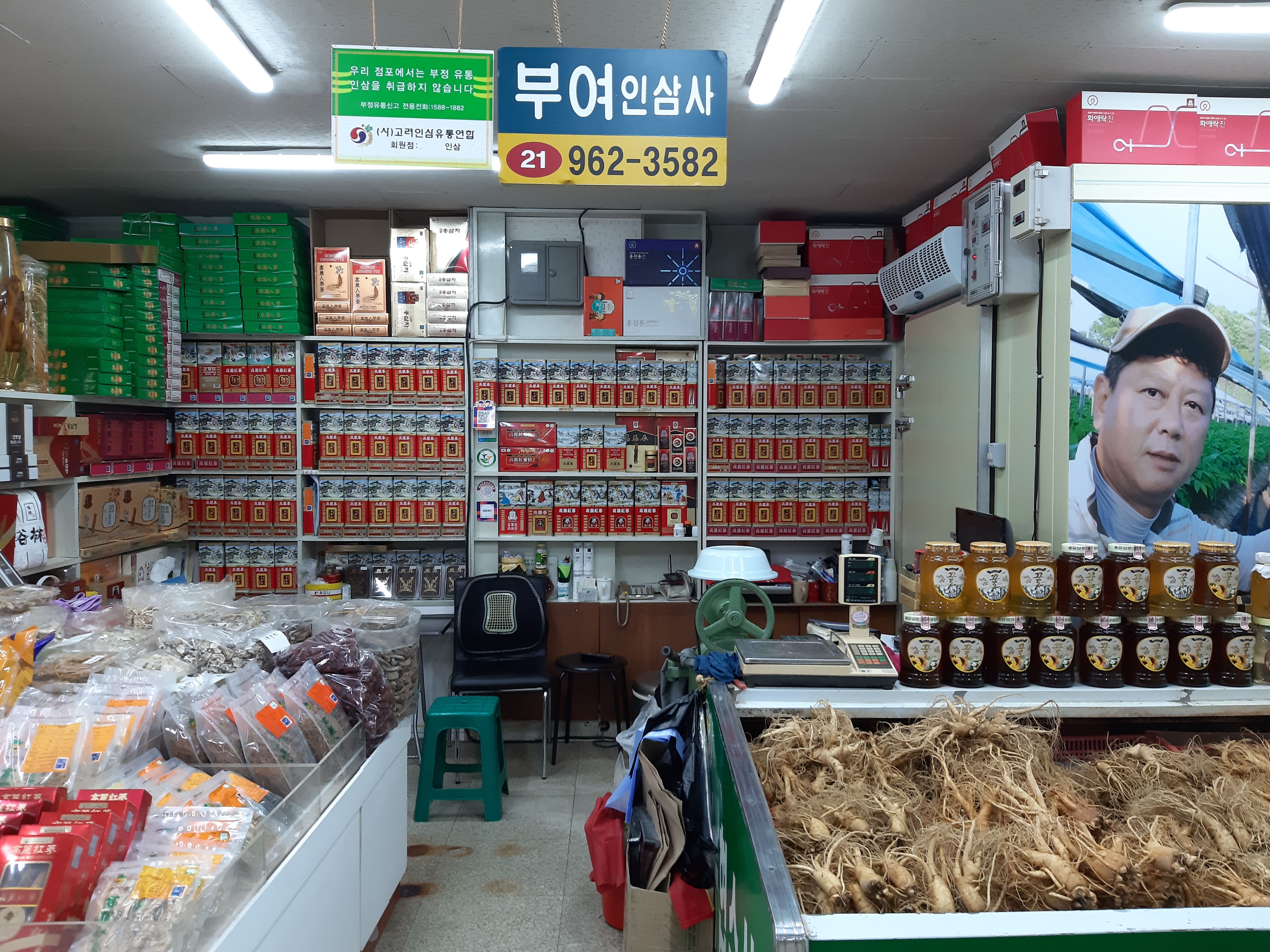 부여인삼