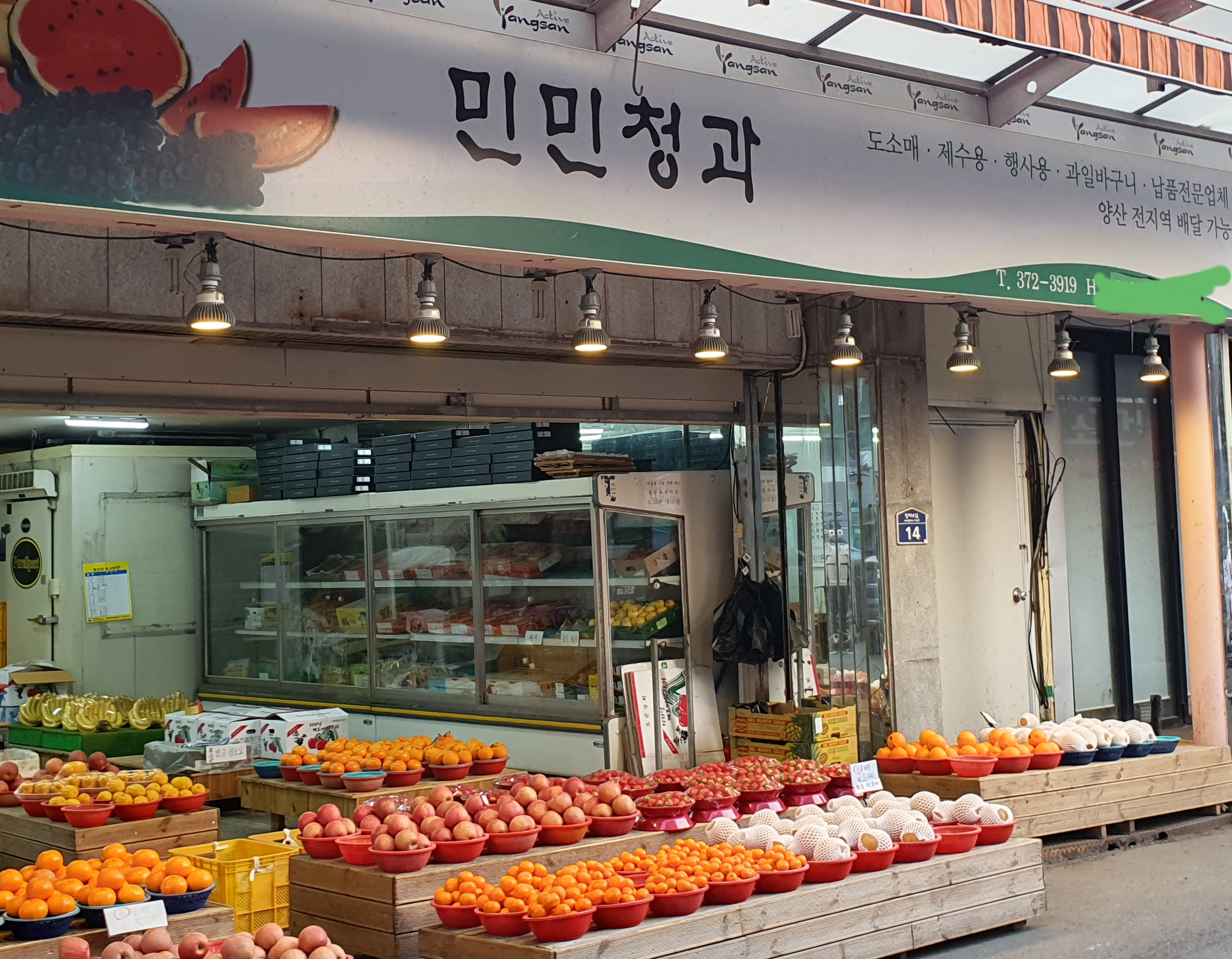 민민청과