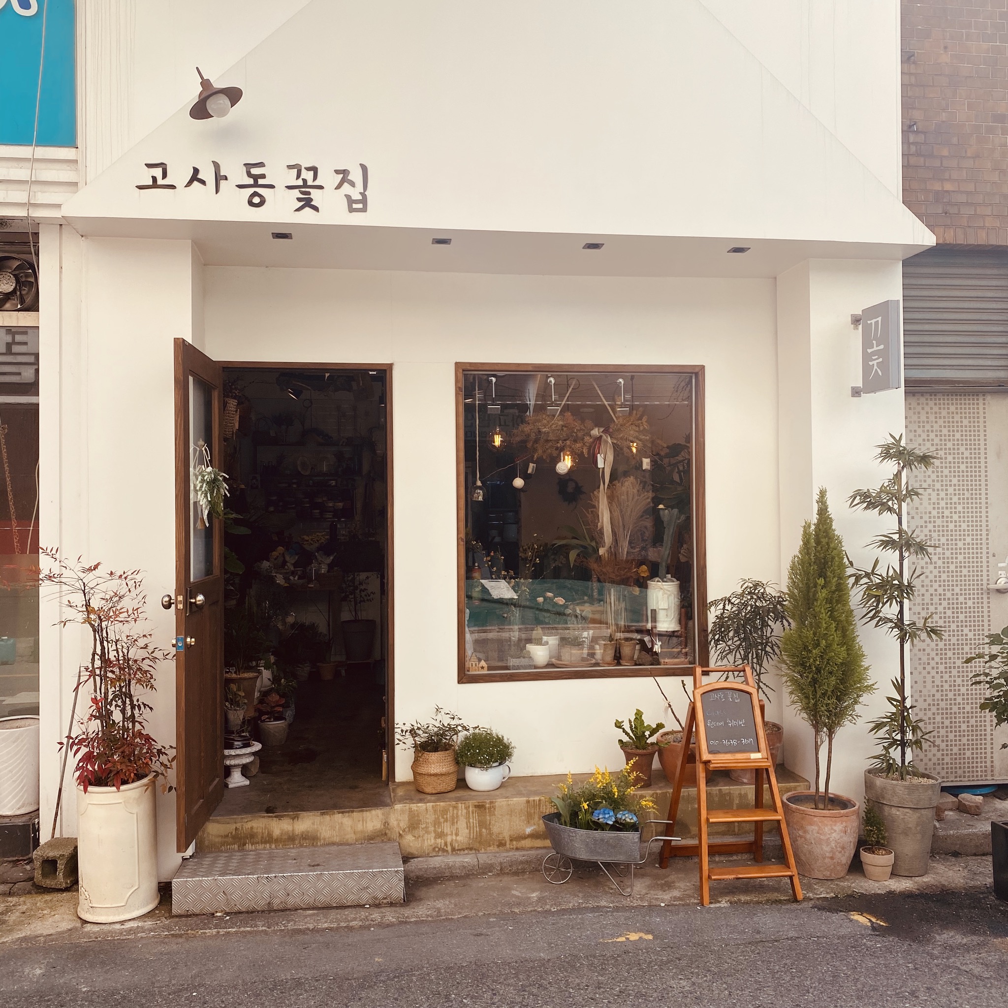 고사동꽃집