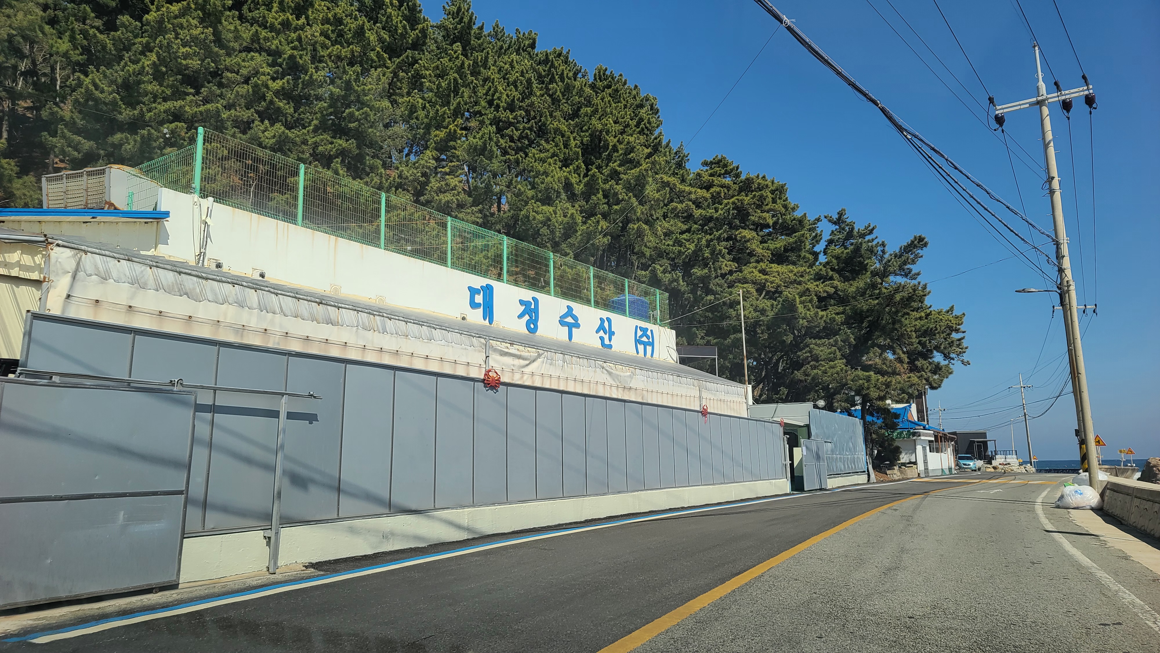 대정수산