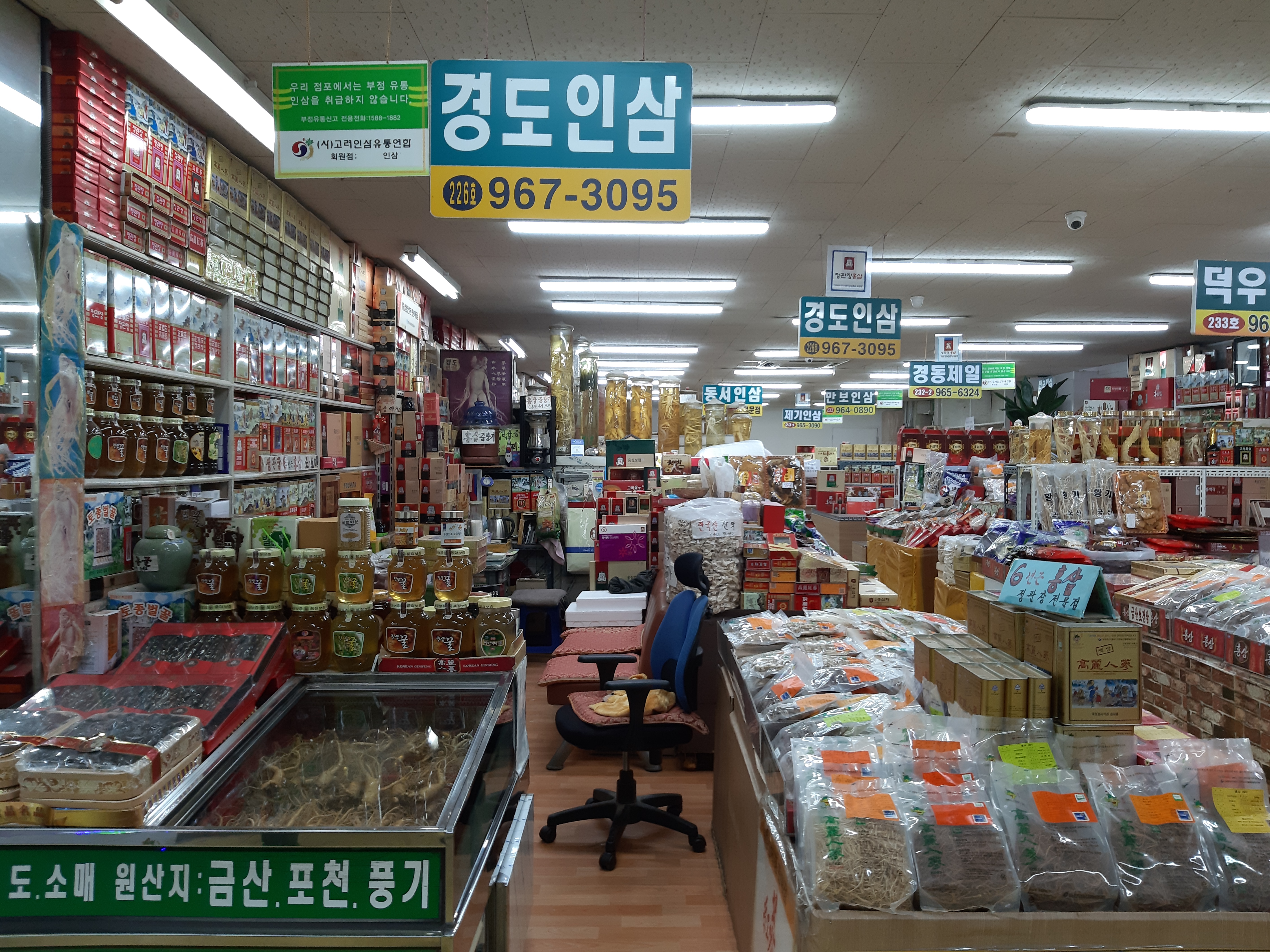 경도인삼