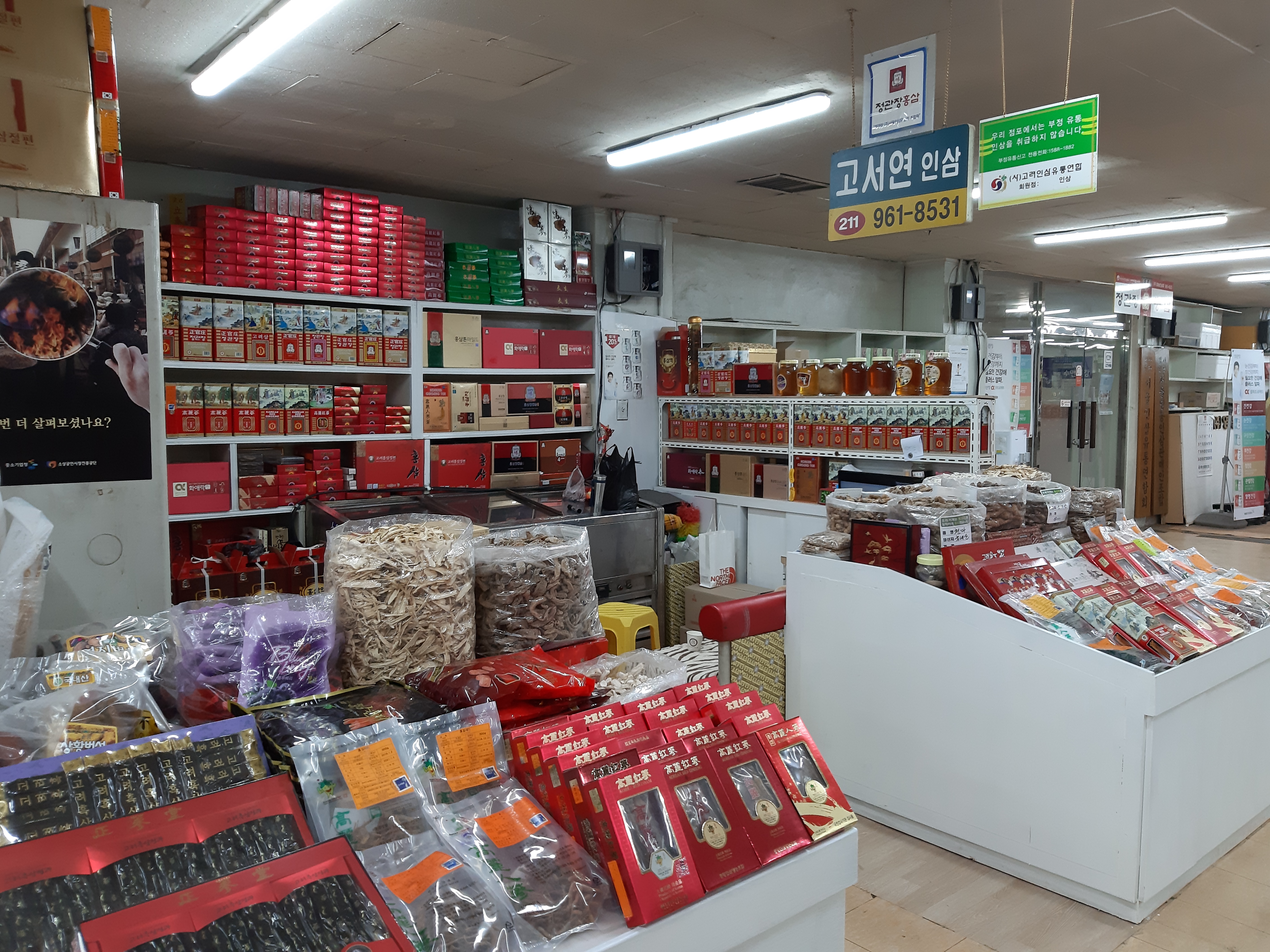 고서연인삼