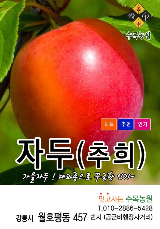 수목농원