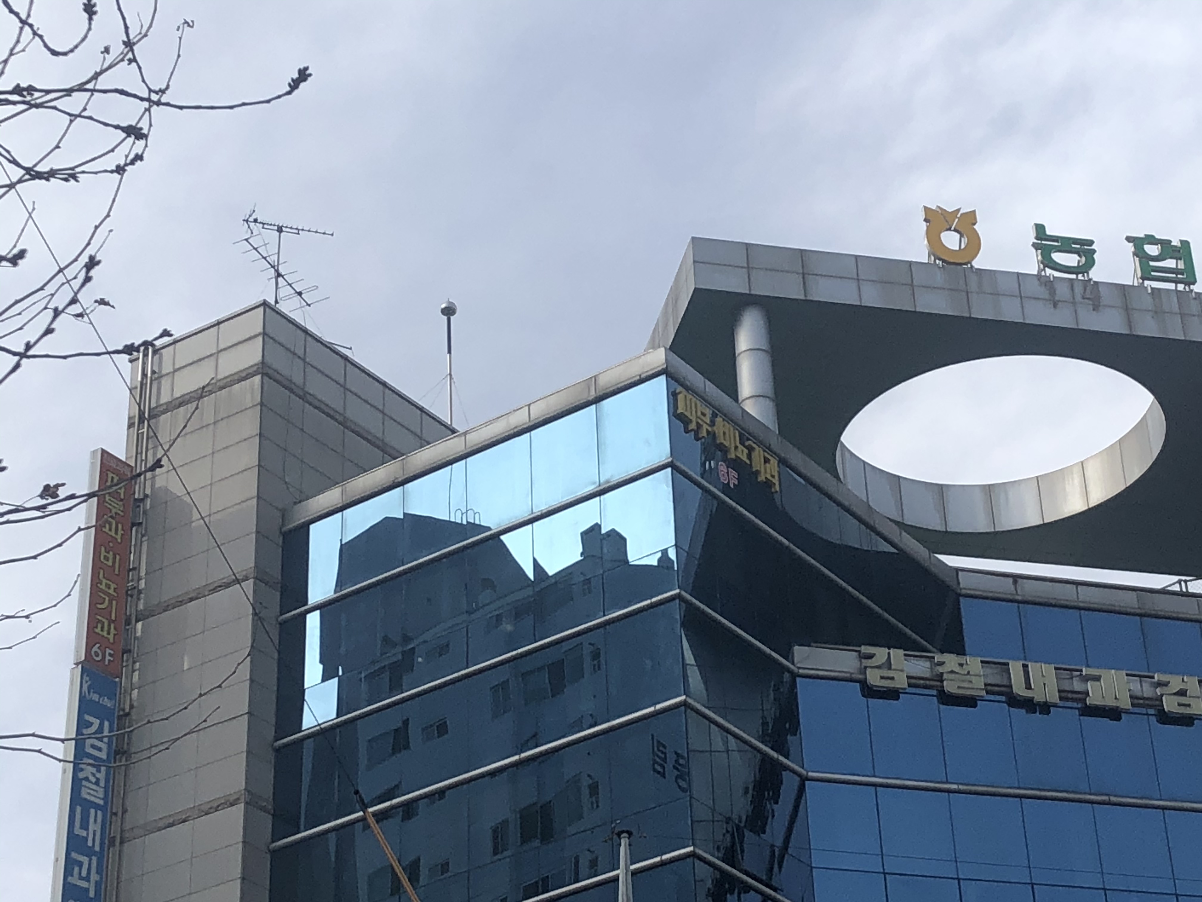 삼성수의원