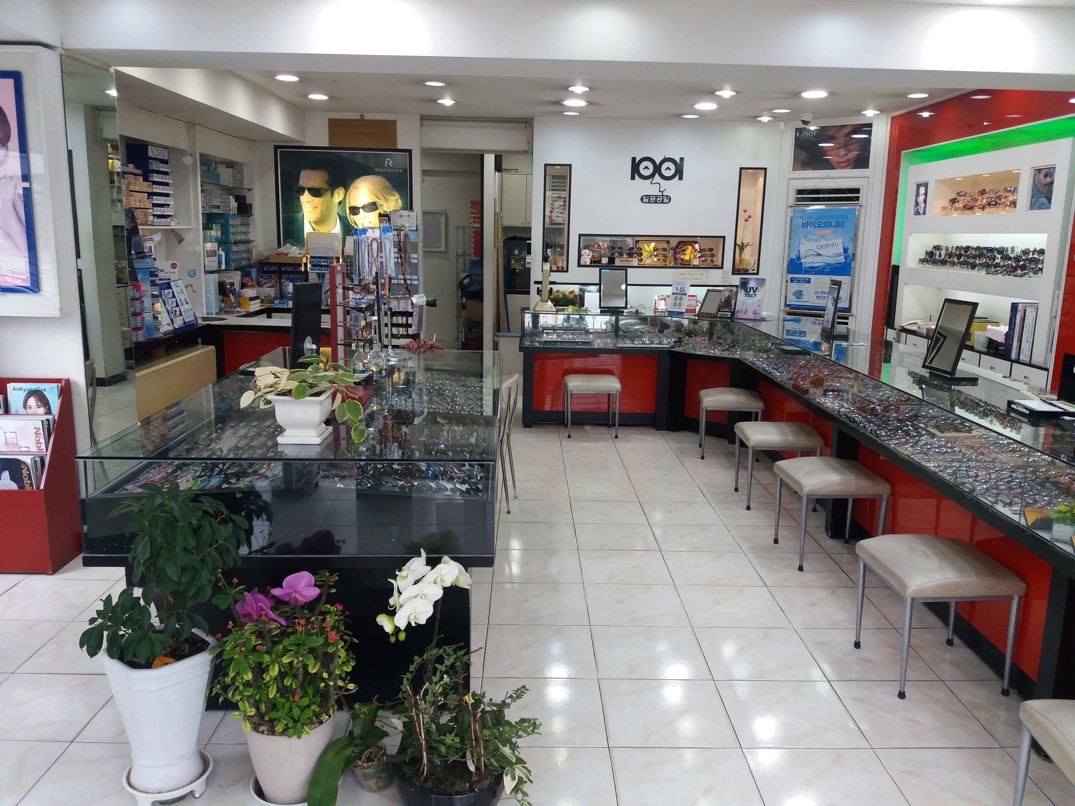 1001안경콘택트 은평구청점 대표 이미지