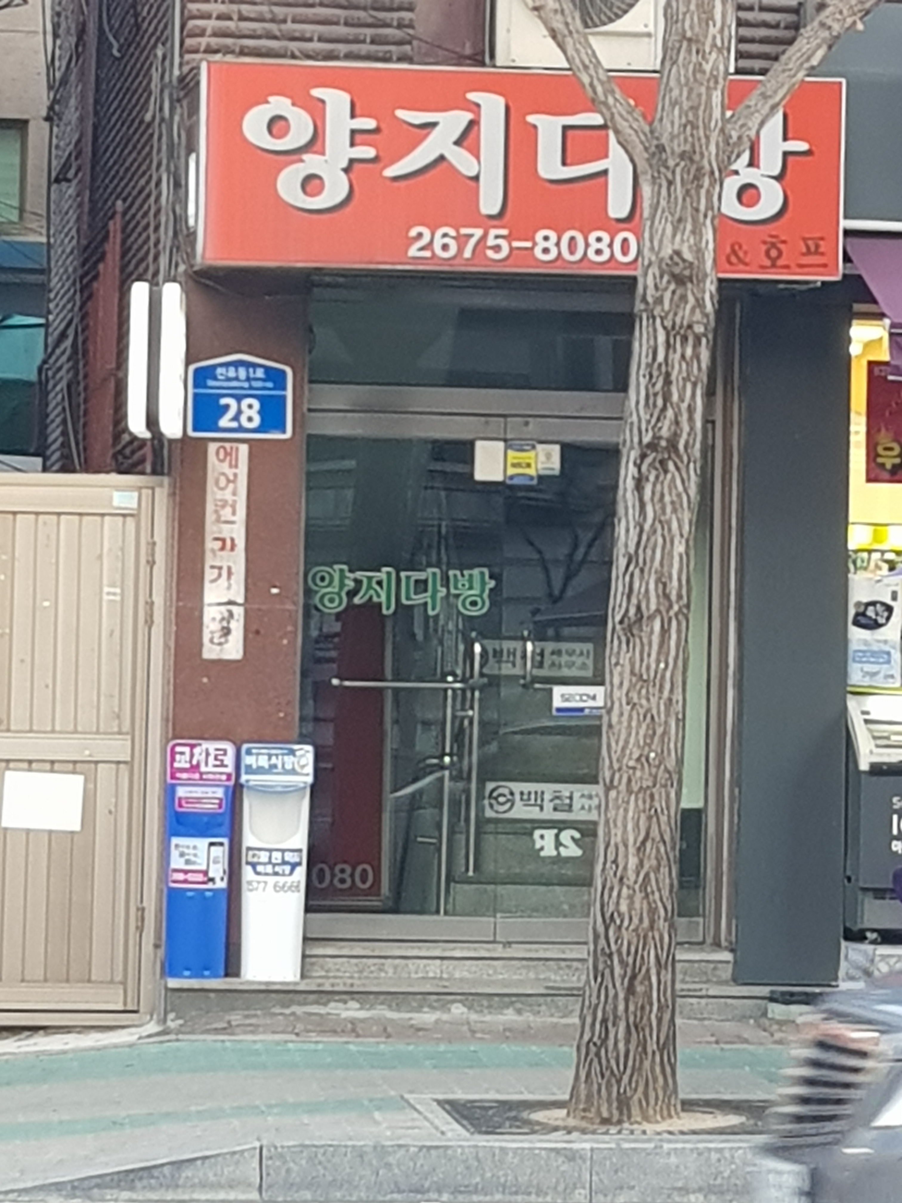 양지다방