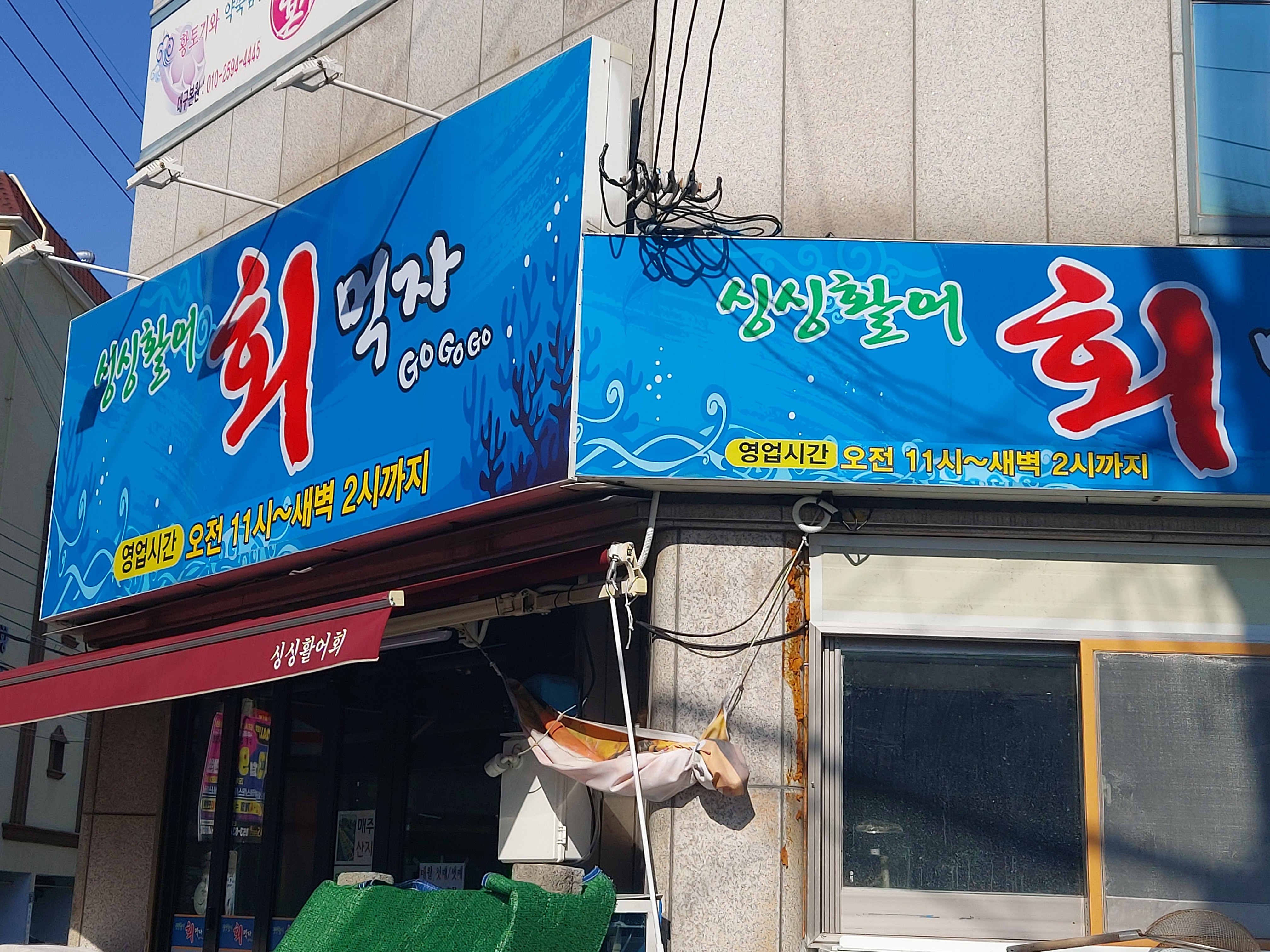 싱싱활어회